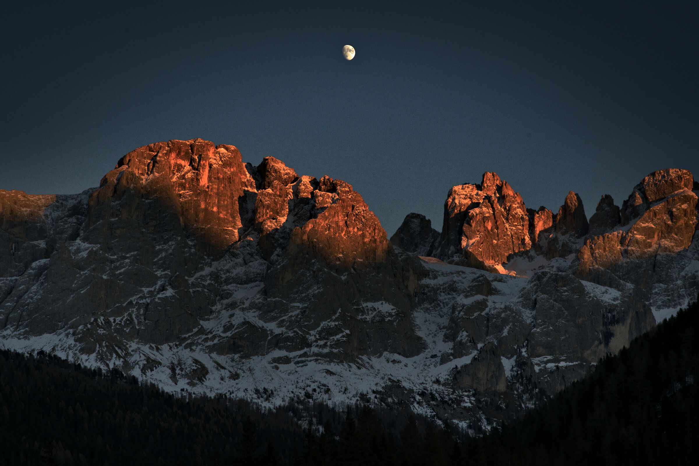 Untitled Photo