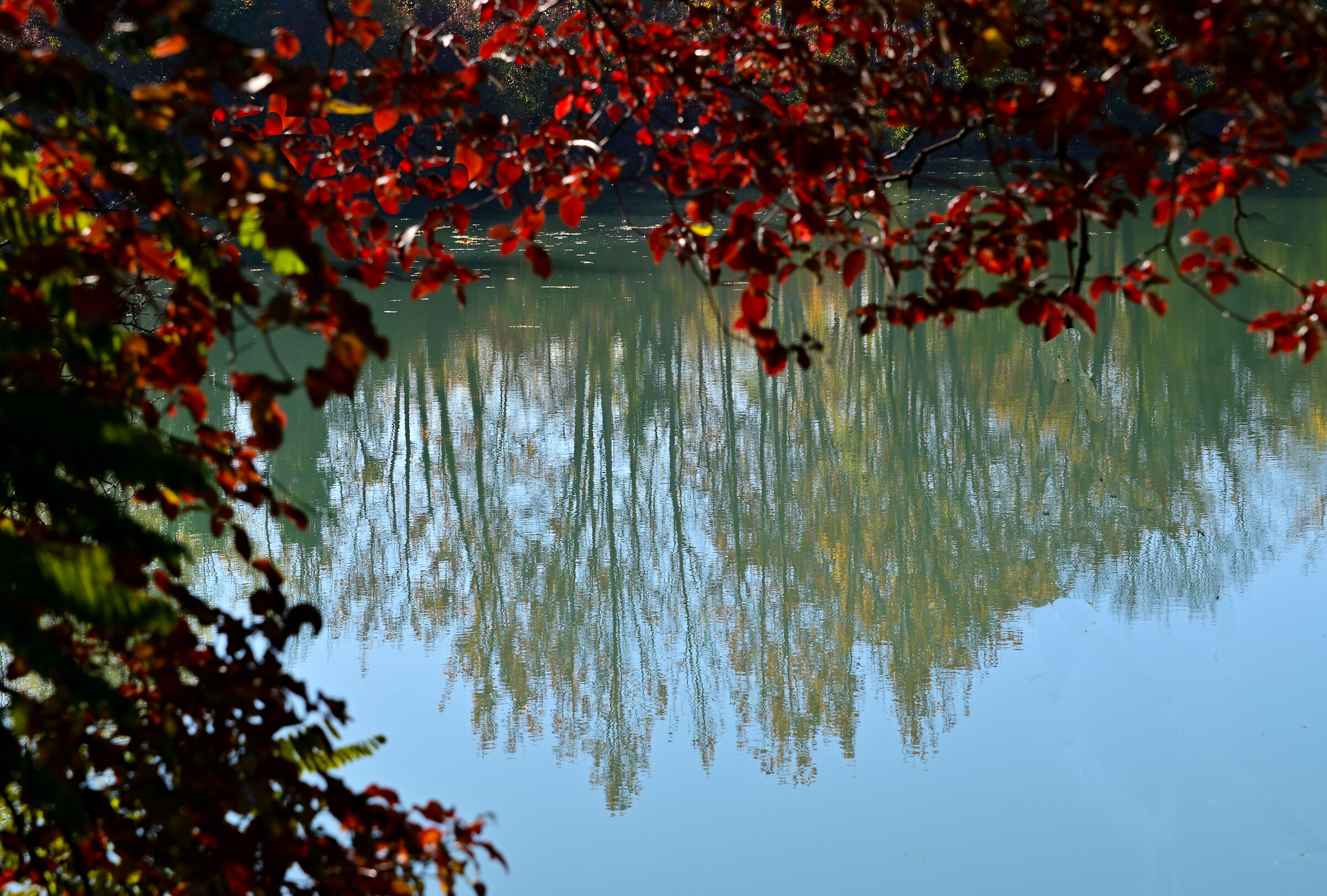 Peat bog of Sebino - Uno