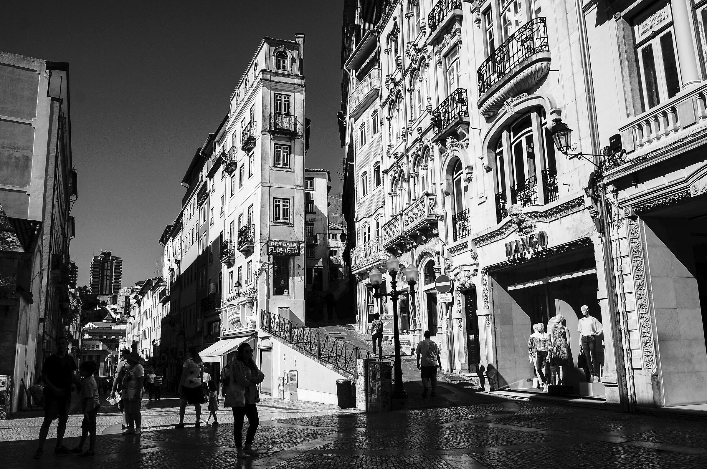 Ombra e luce 1