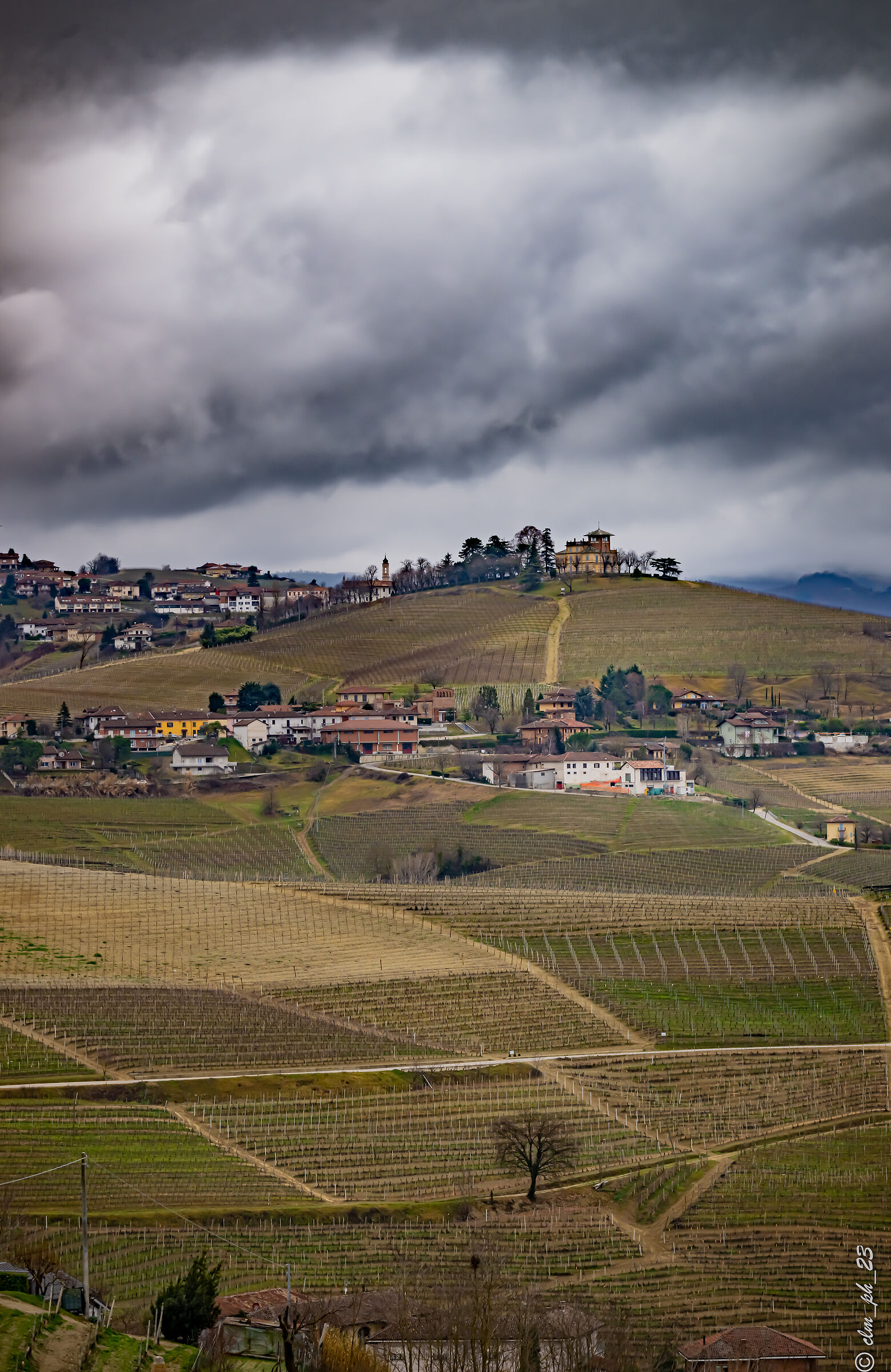 From the Tower of Barbaresco