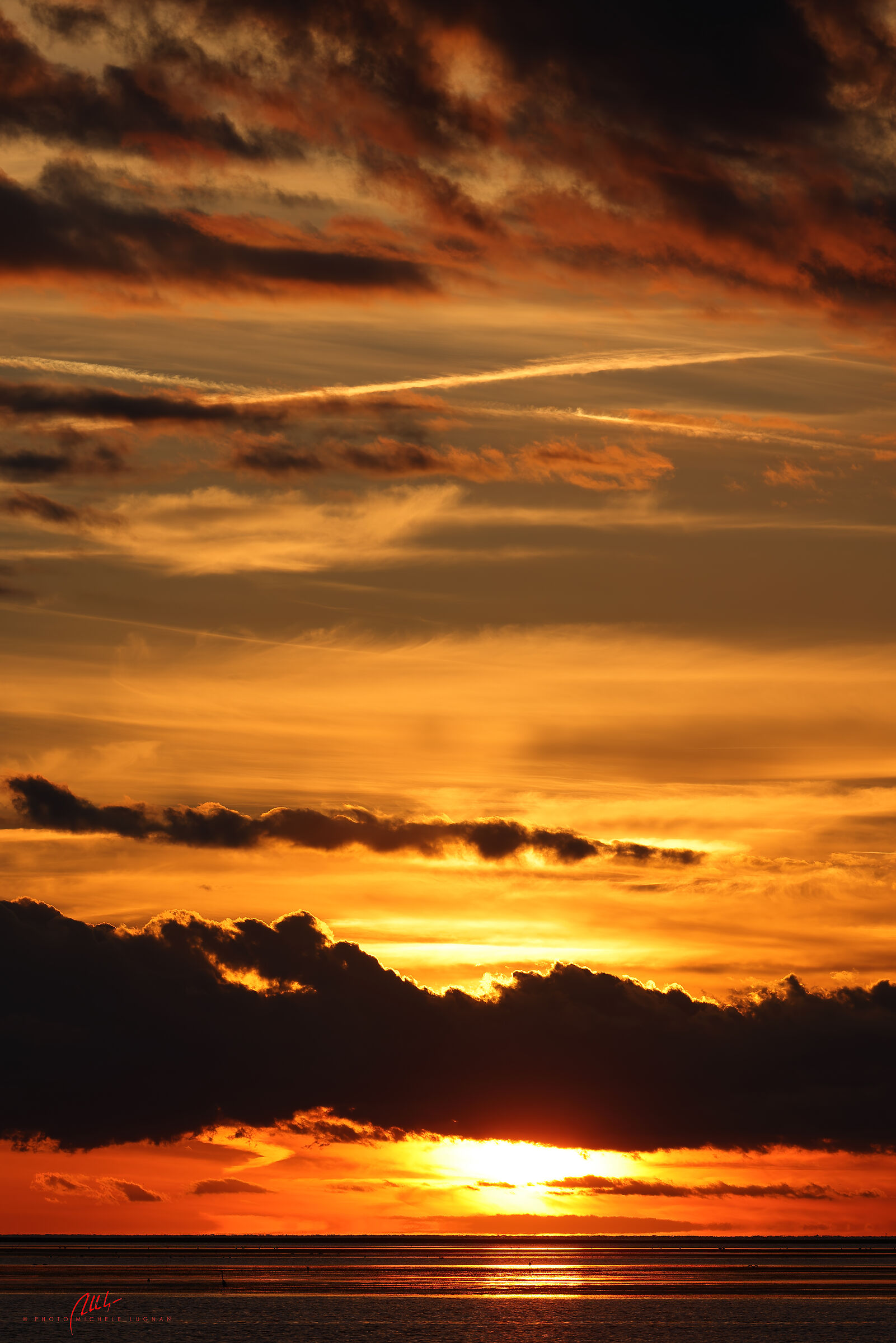 Grado Lagoon pine forest