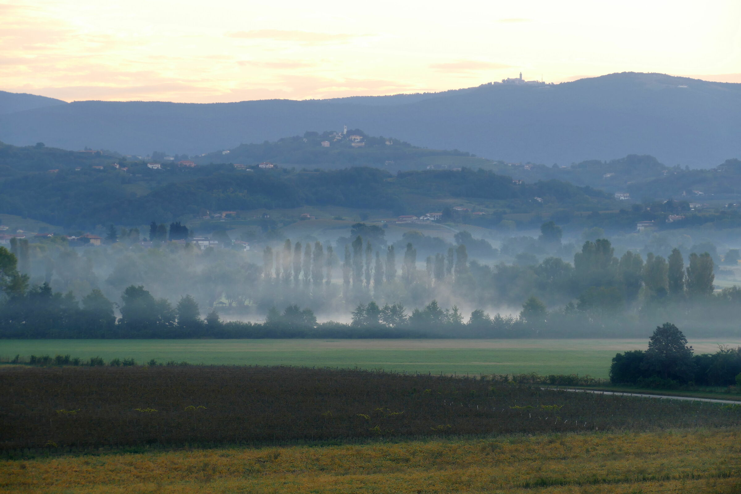 Alba nel Collio