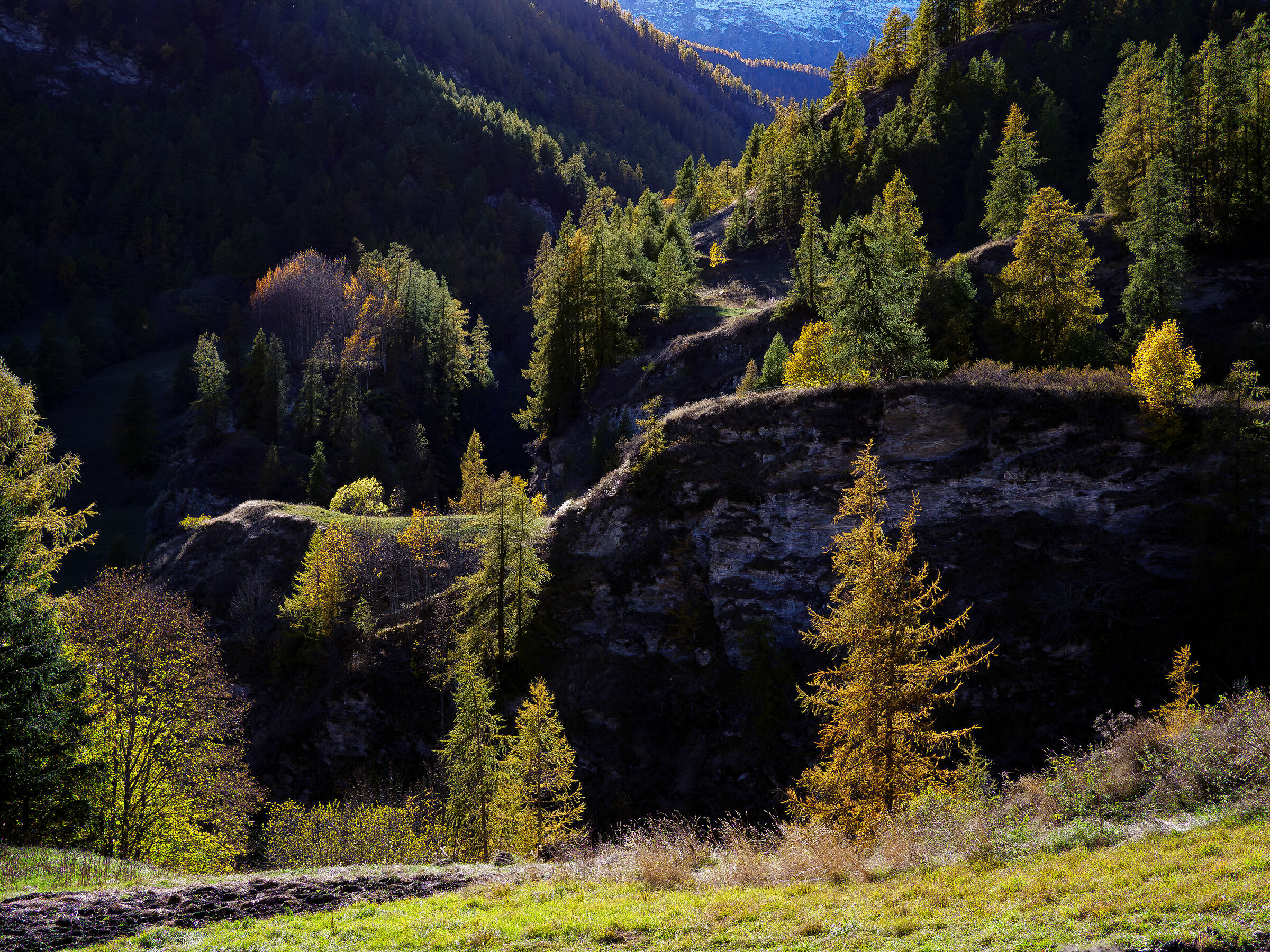 Luci e ombre dell'Autunno.
