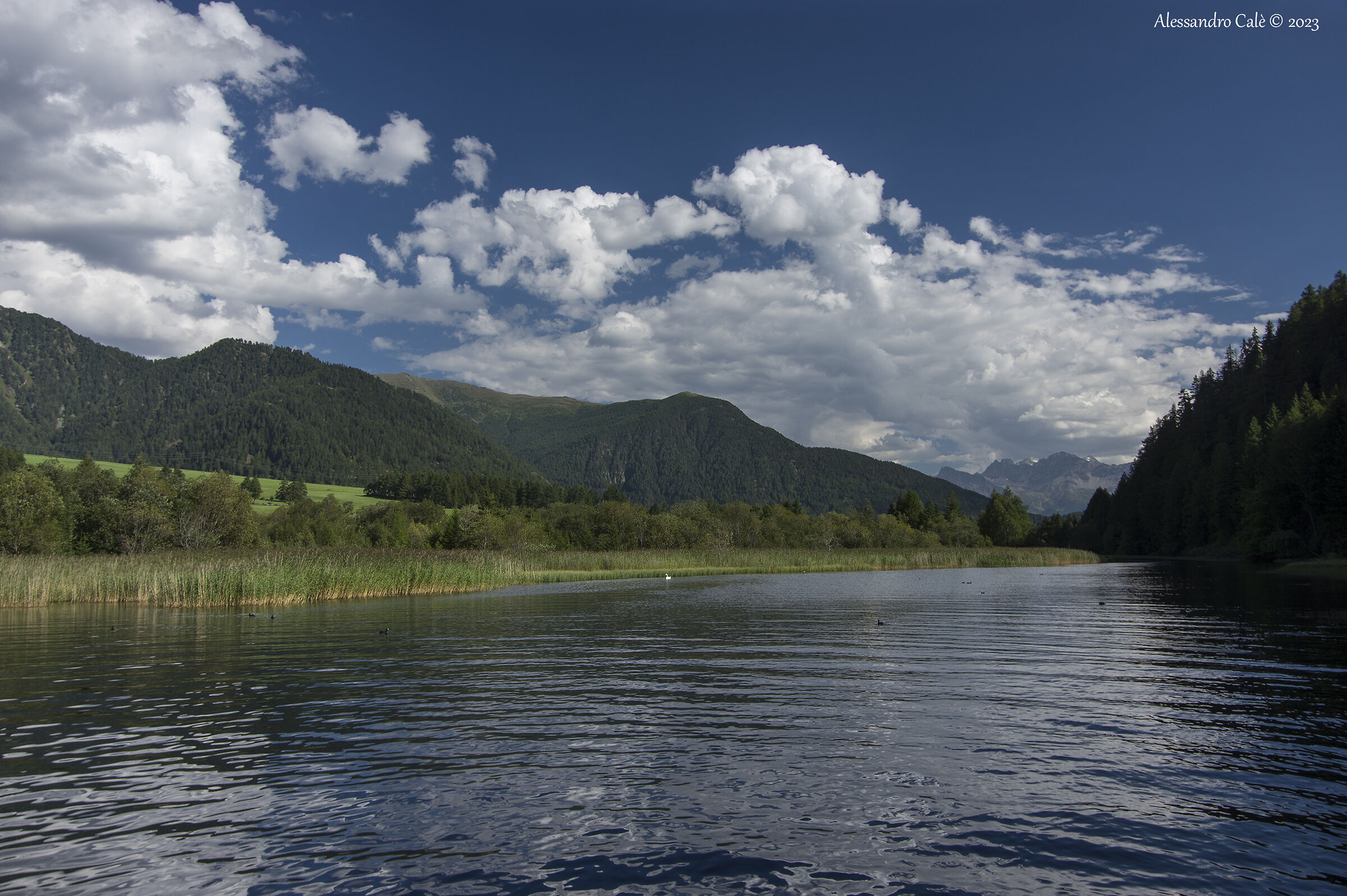 Lago della Muta 8863