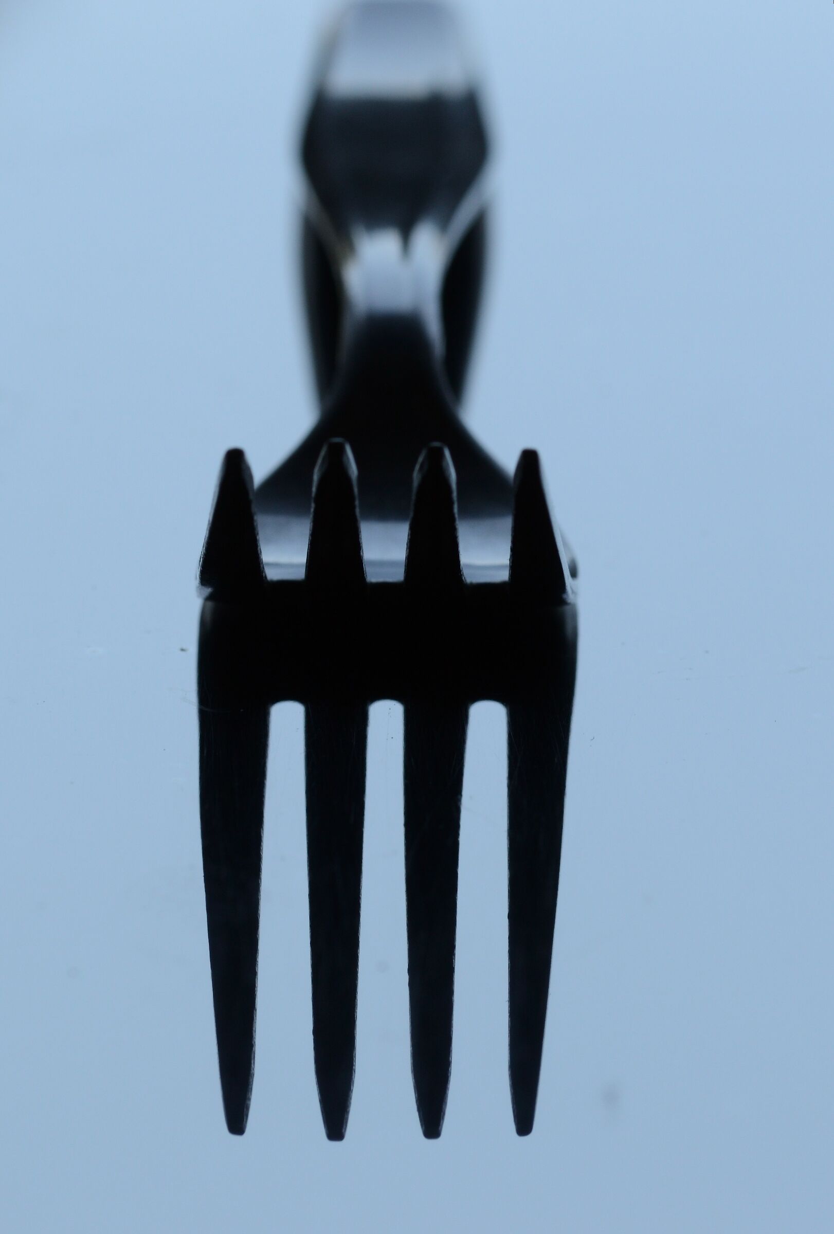 Fork