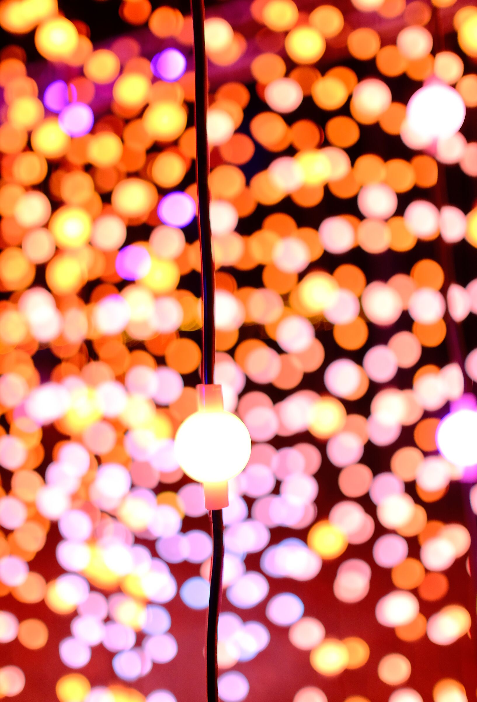 Perle di luce