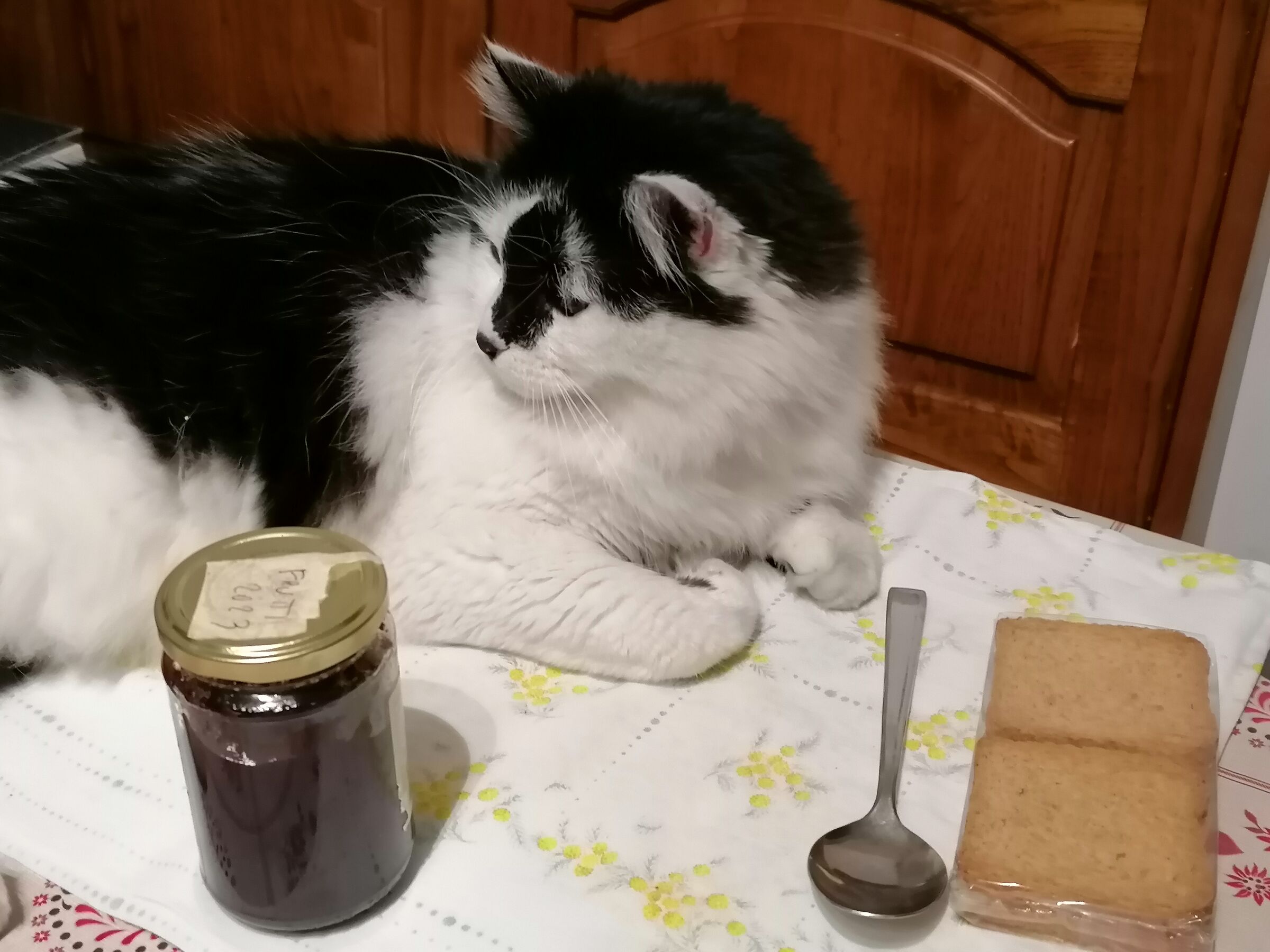 in attesa del latte caldo