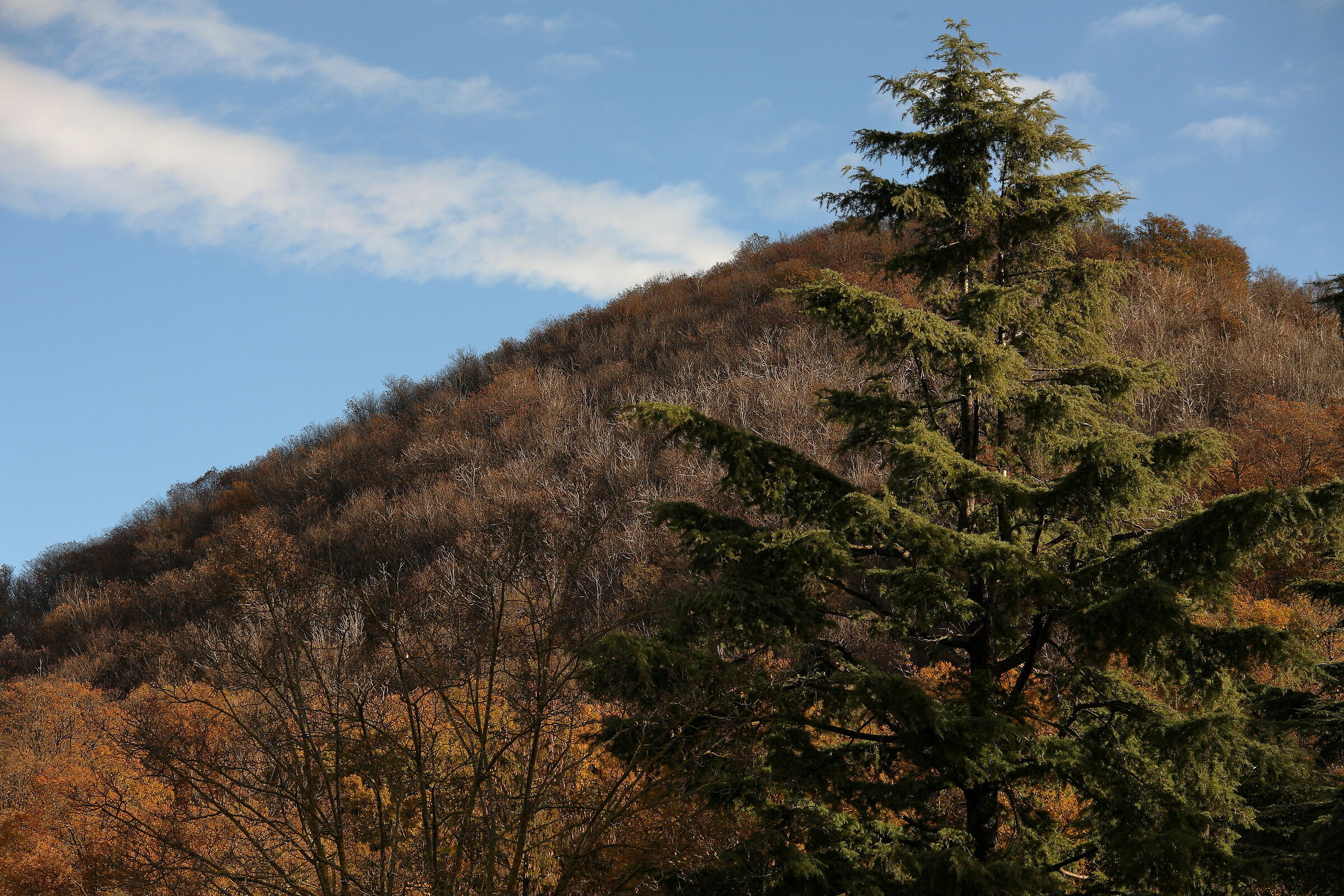 Autunno sui colli_1