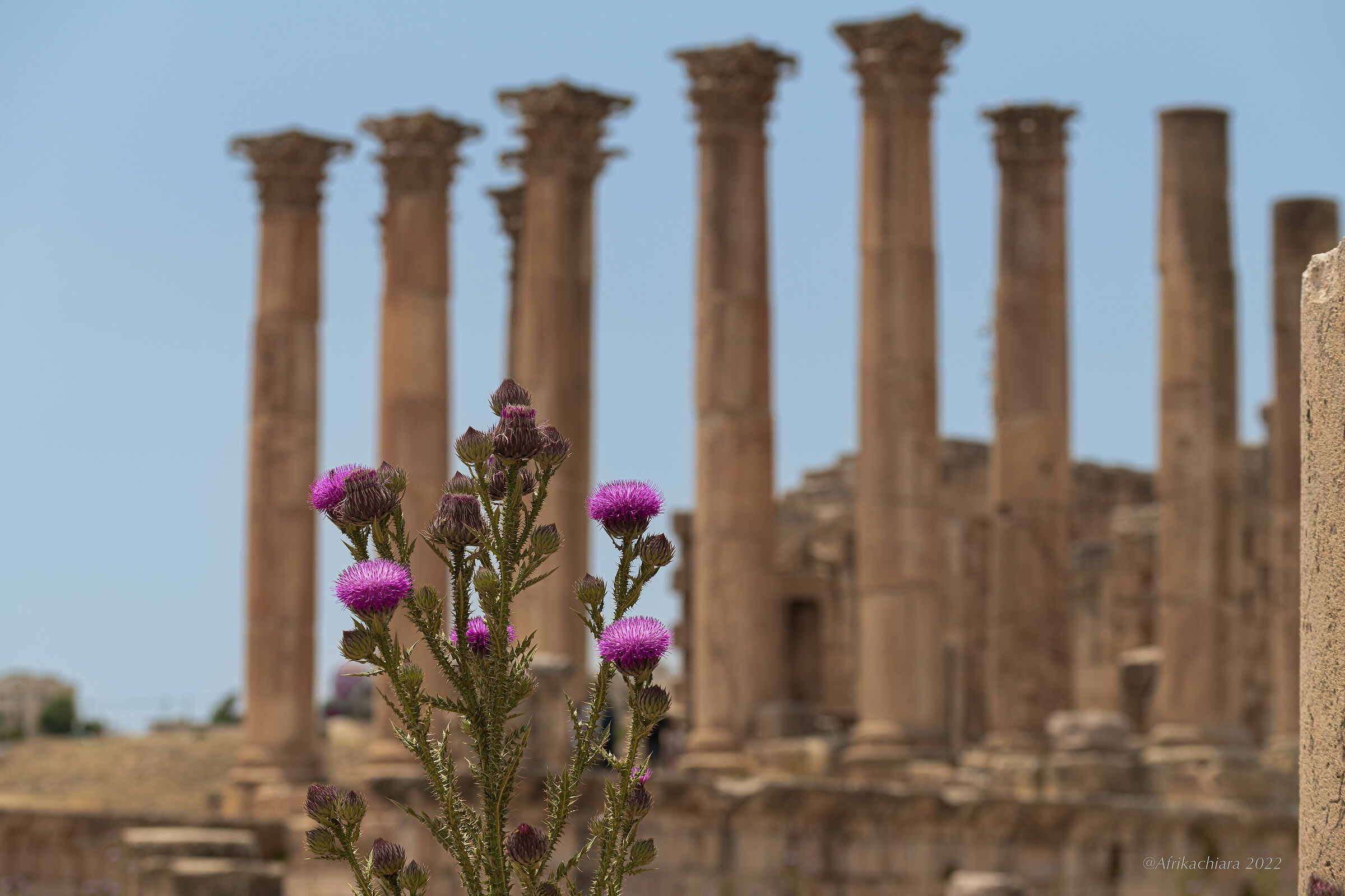 Jerash (Gerasa) archaeological site