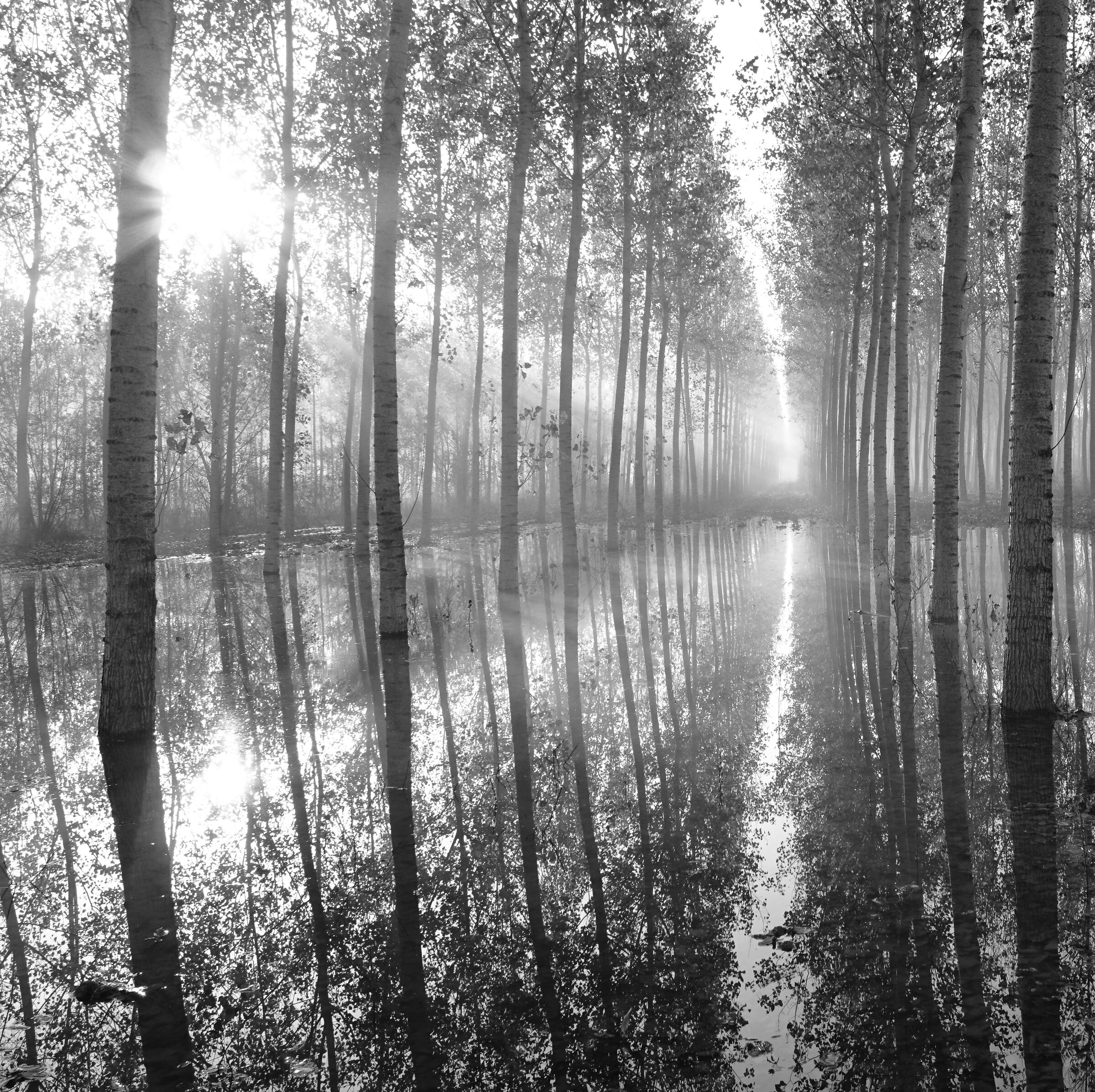 La golena al mattino