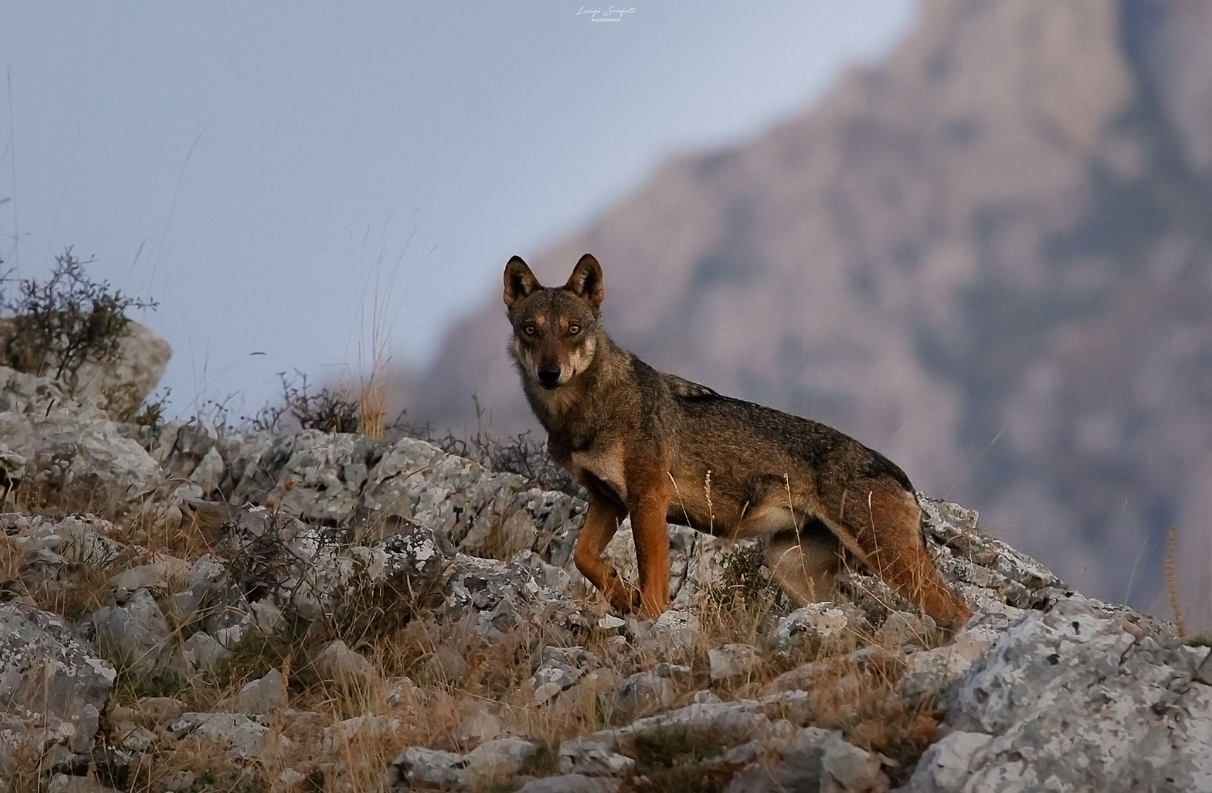 the spirit of the mountains