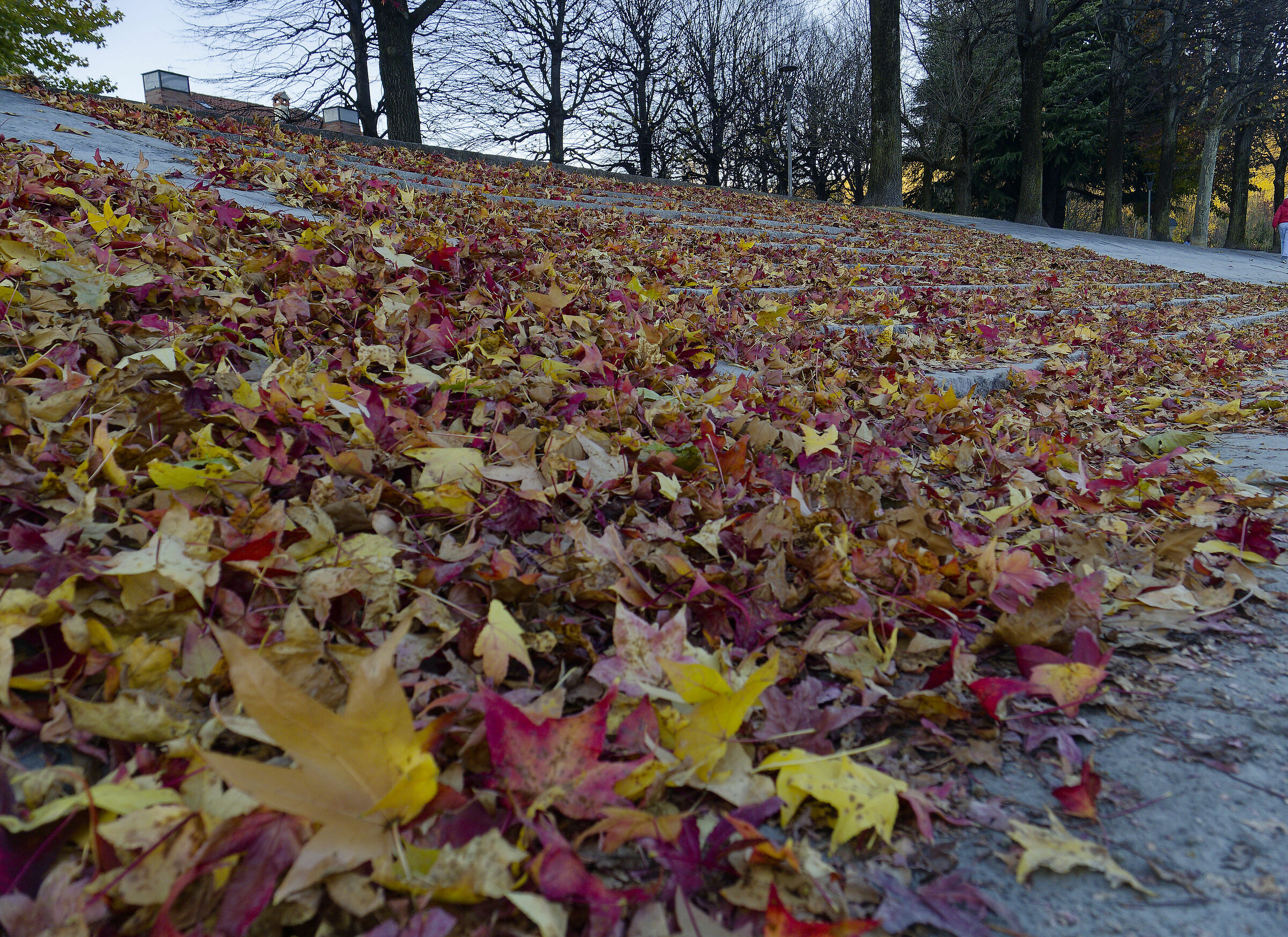 La scalinata multicolore