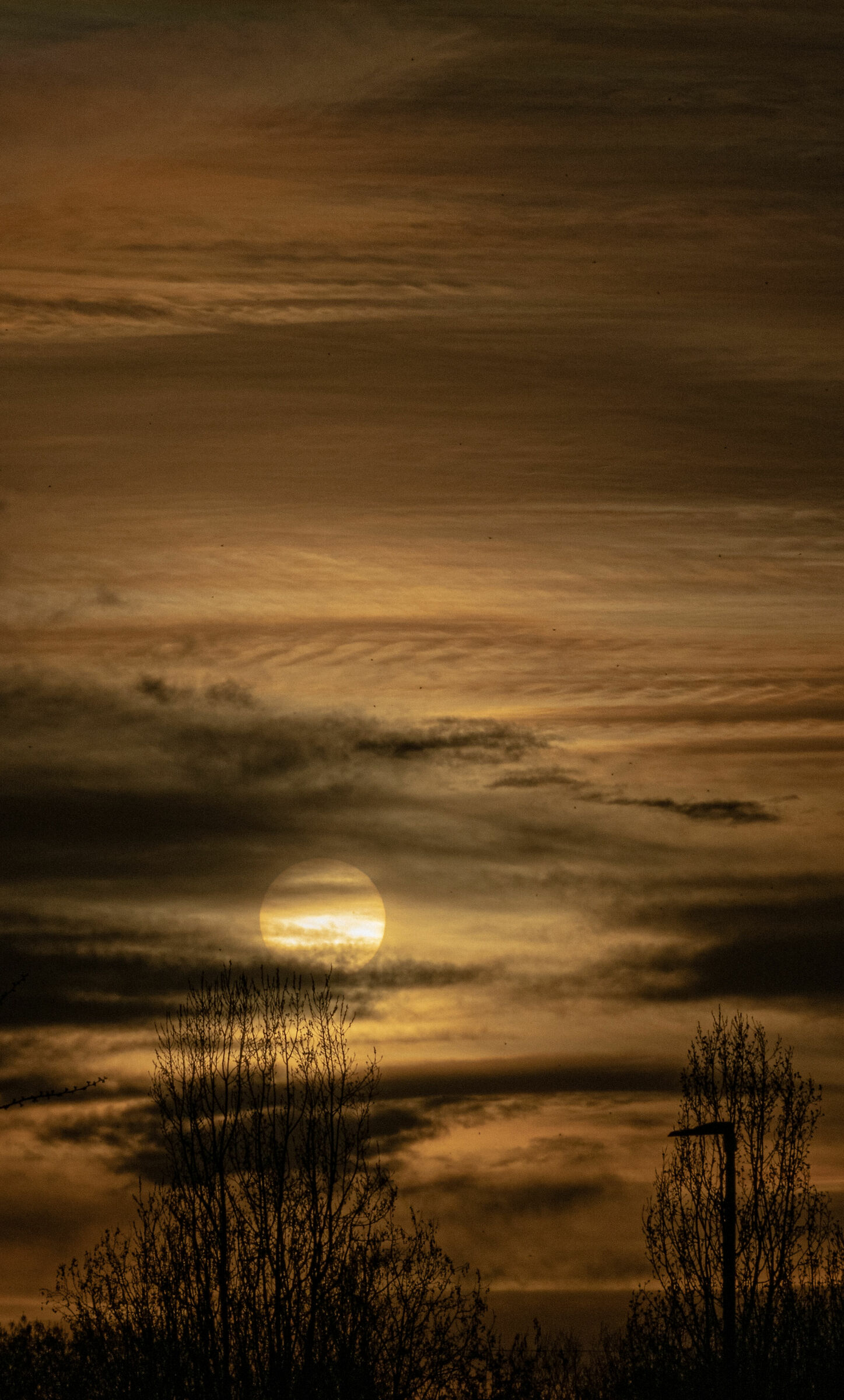 Sunset in Martesana