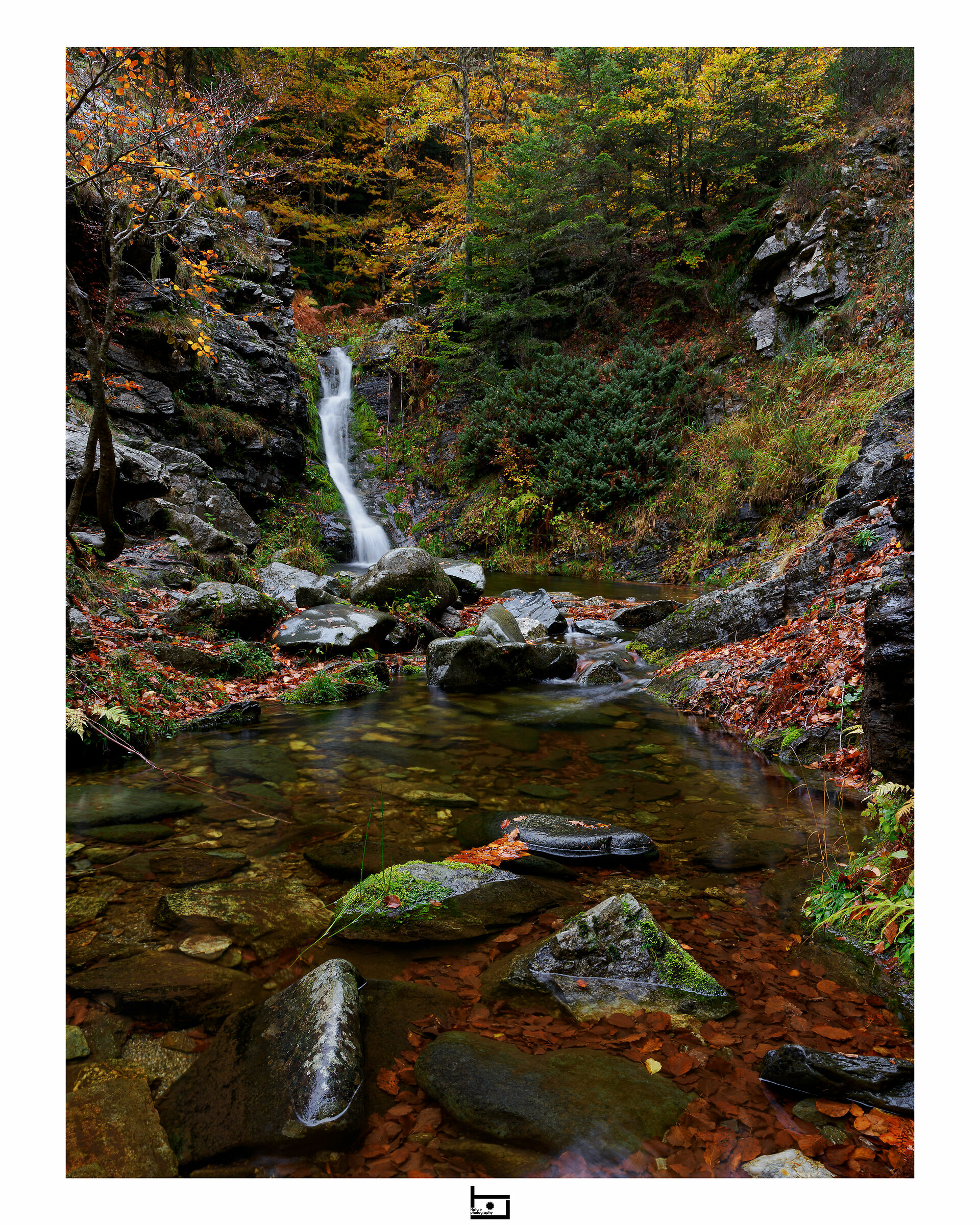 Tre Limiti - autumn version