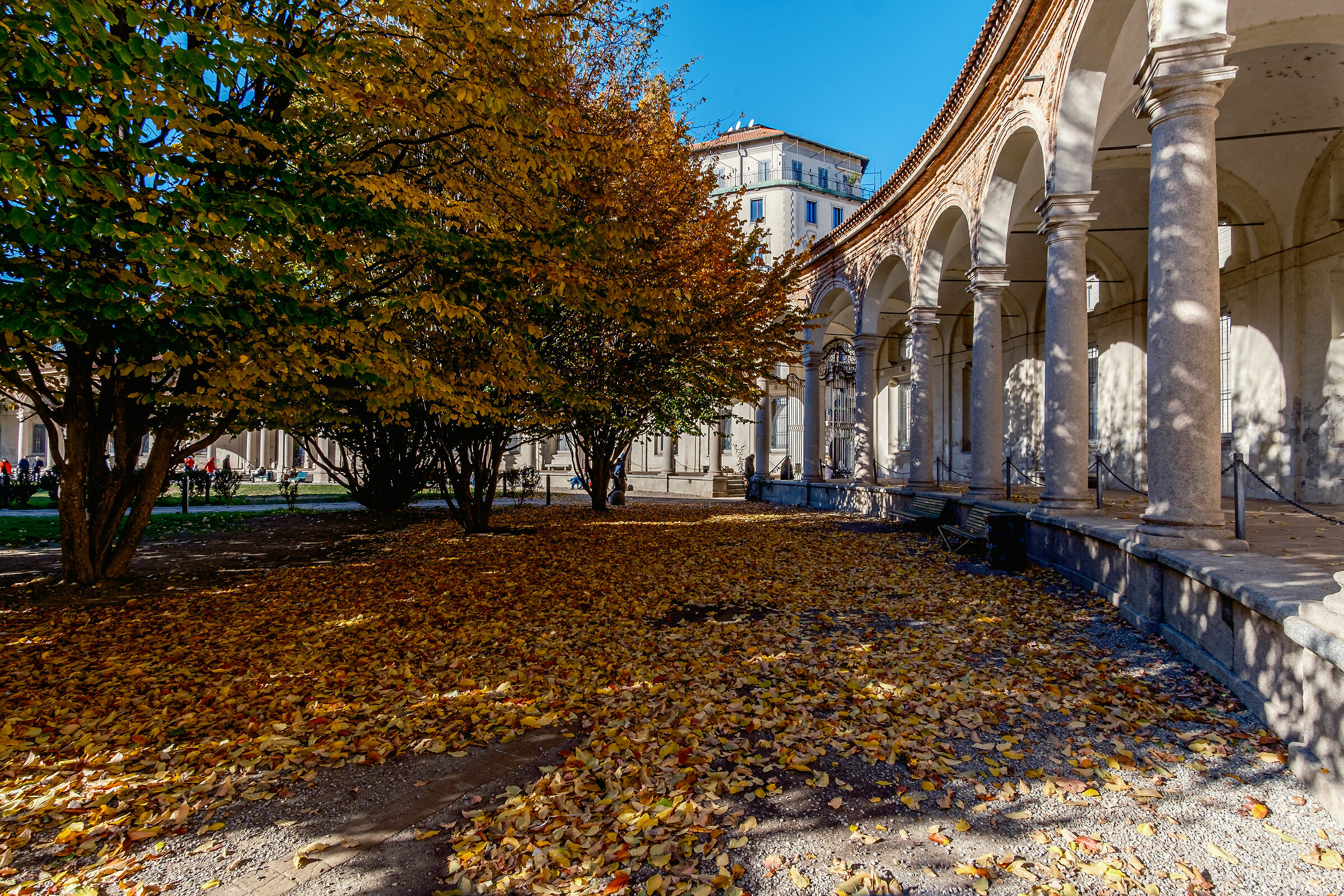 Rotonda della Besana