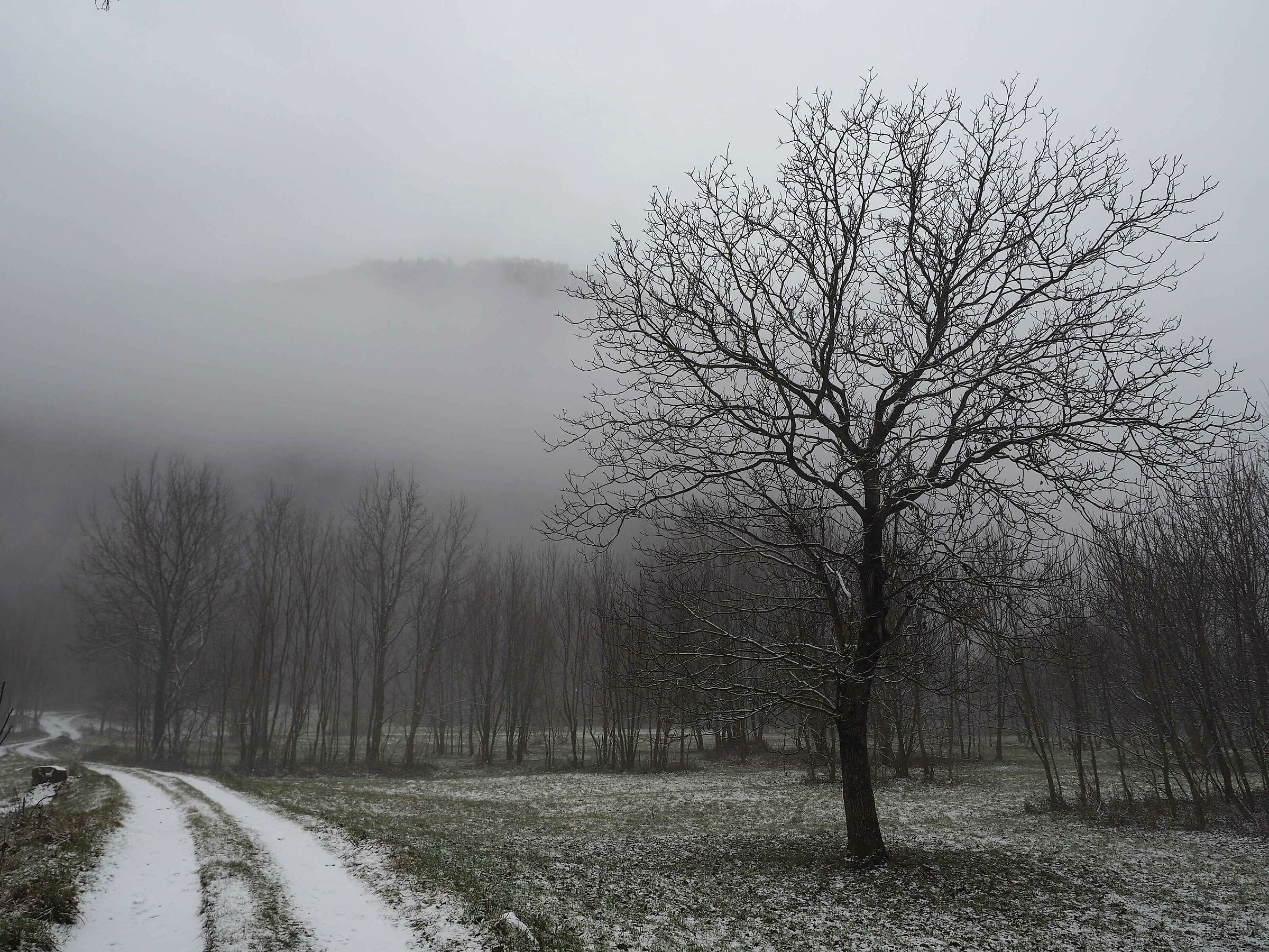 prima nevicata autunnale