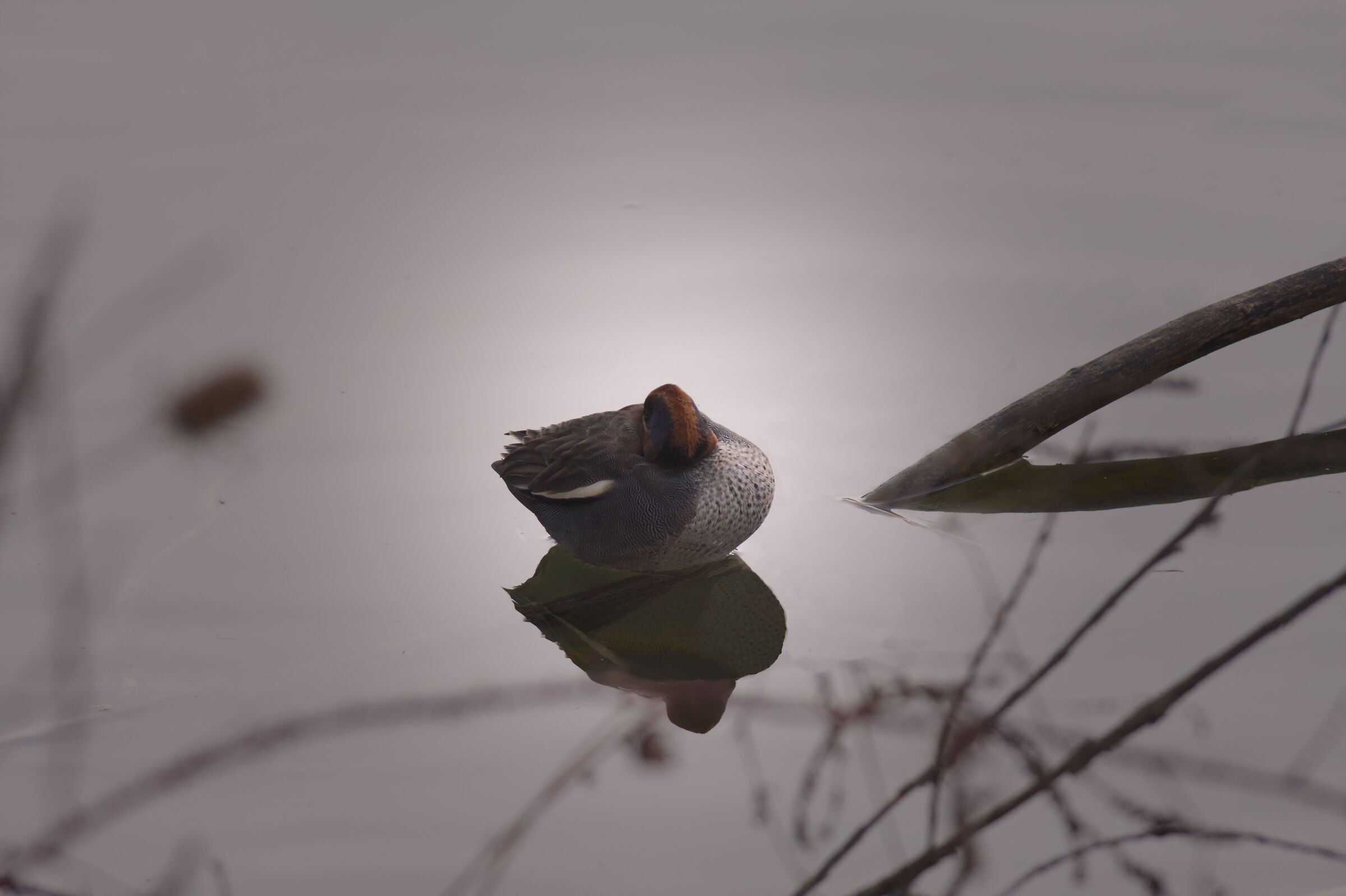 Attimi di riflessione