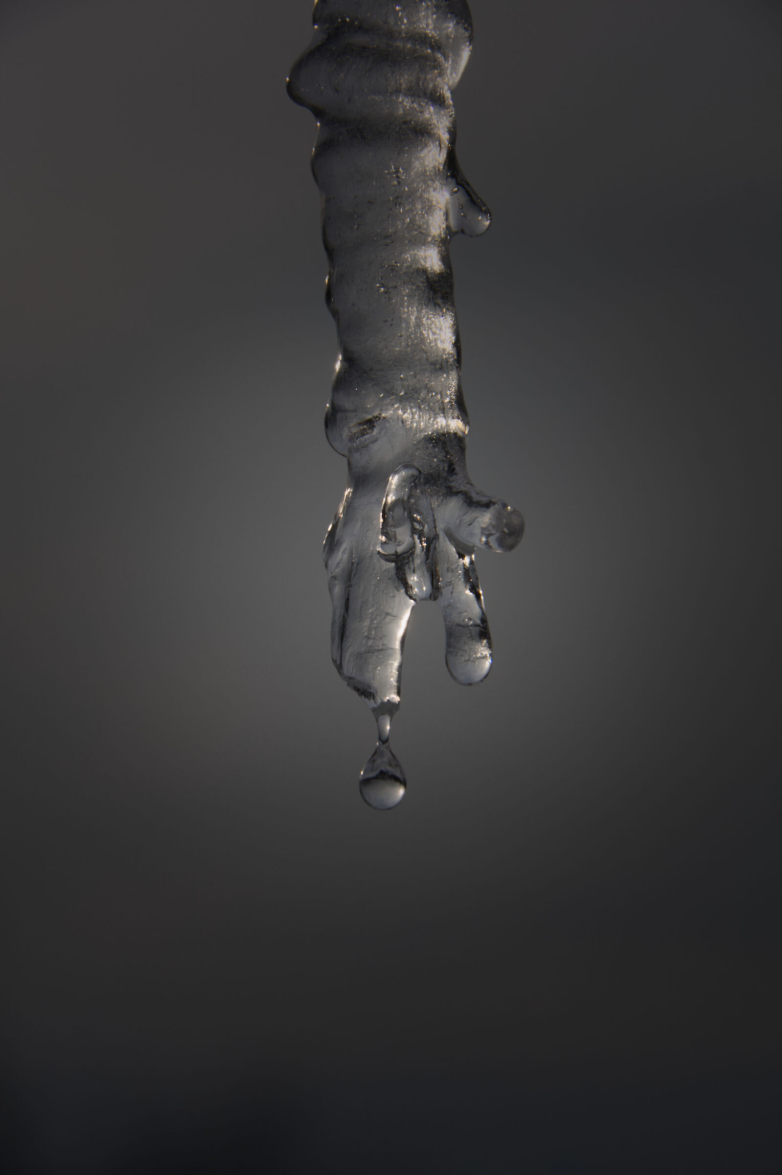 Quella gelida manina....