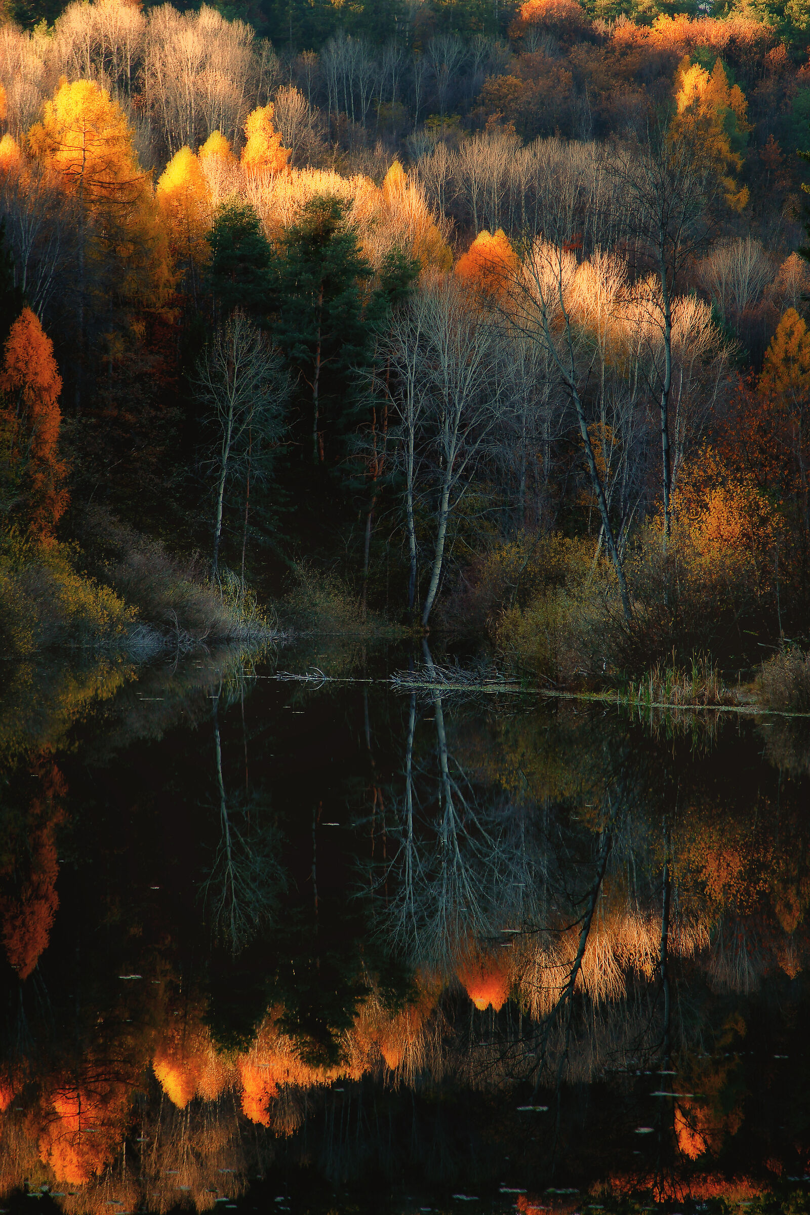 Et voilà Monsieur il sole