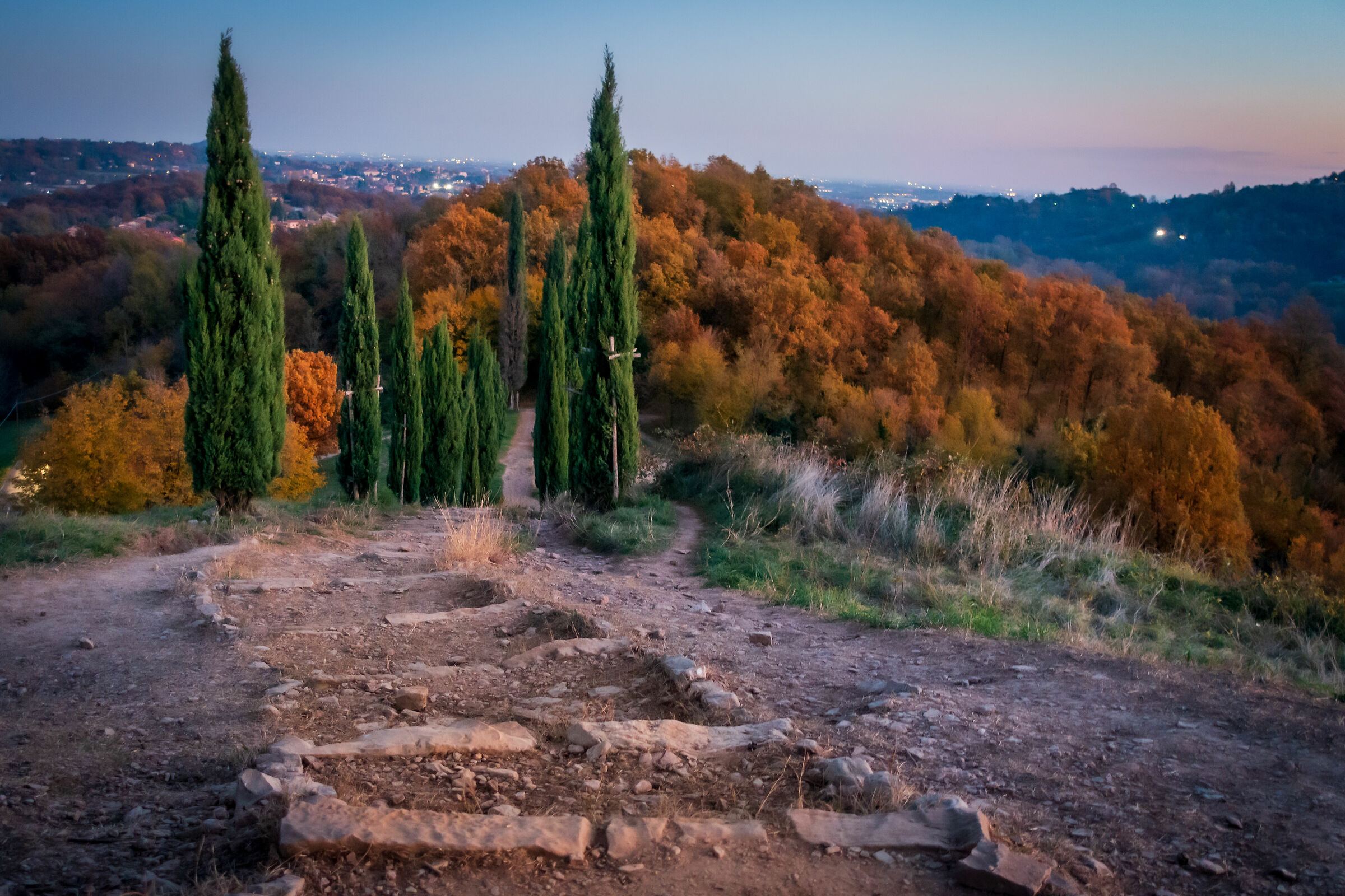 Steps
