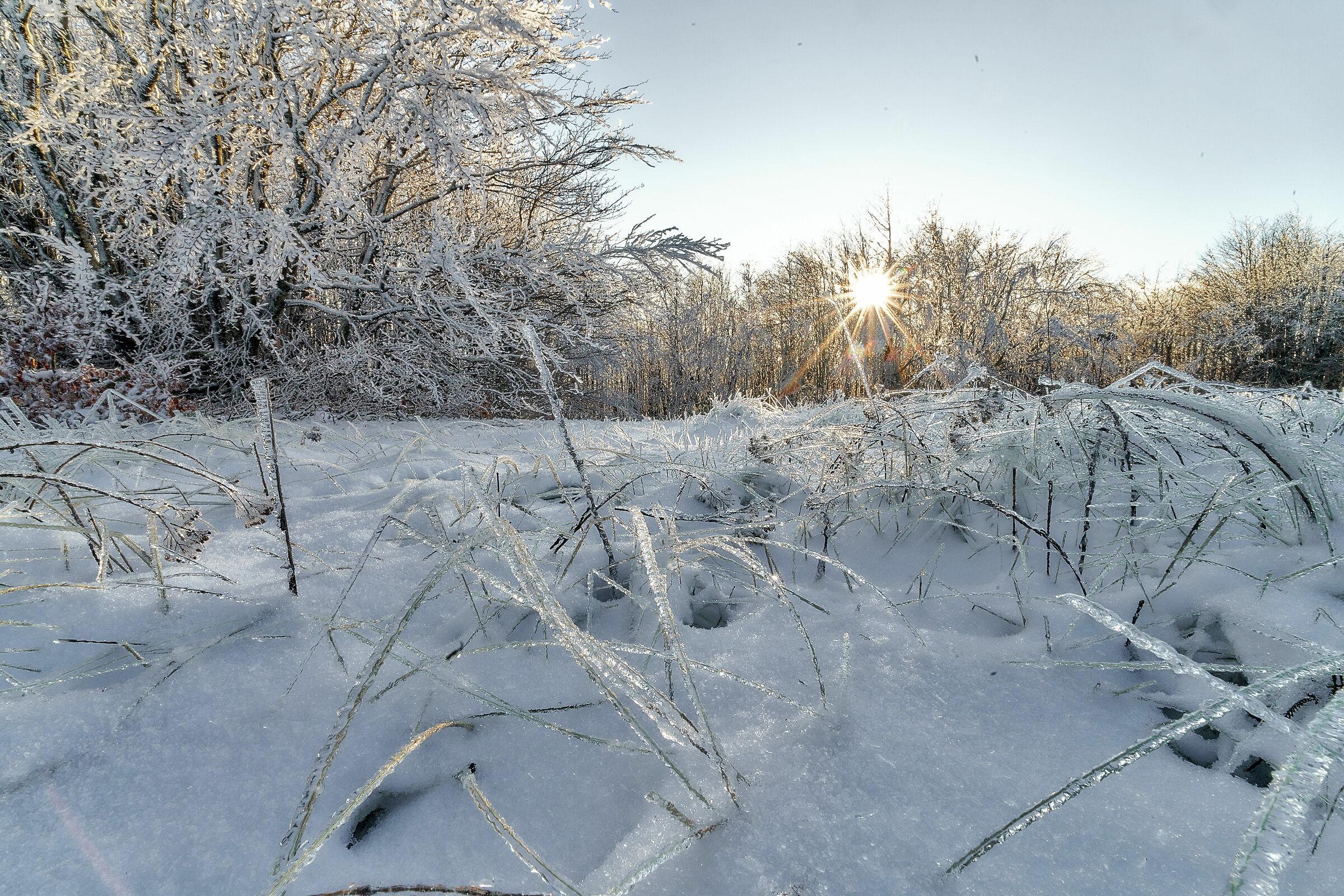 Monte Falco ghiacciato