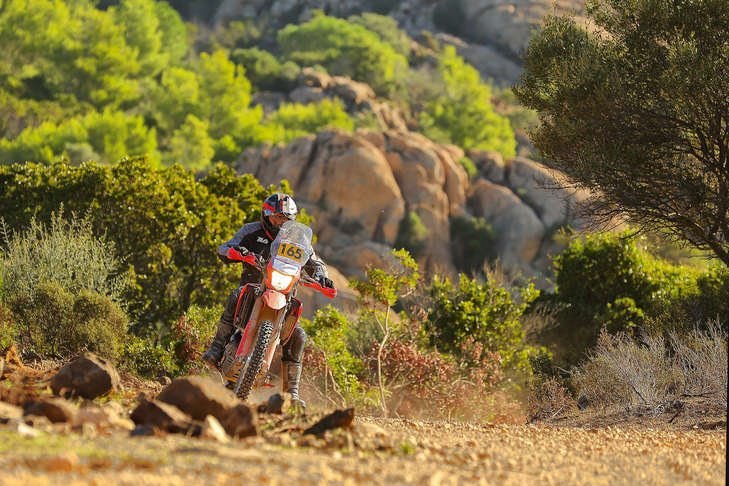 Swank Rally Sardegna 2023