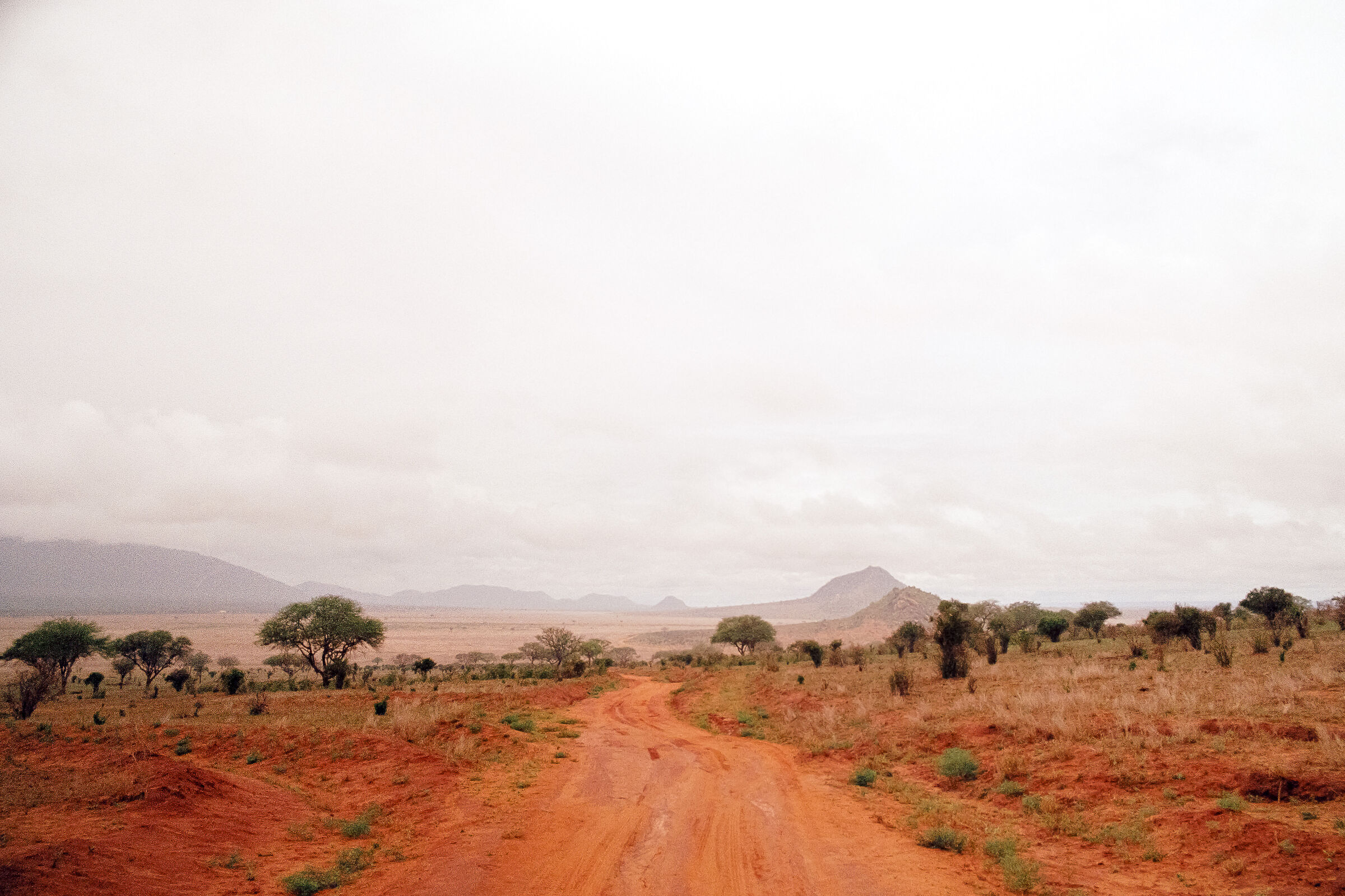 Tsavo Ovest
