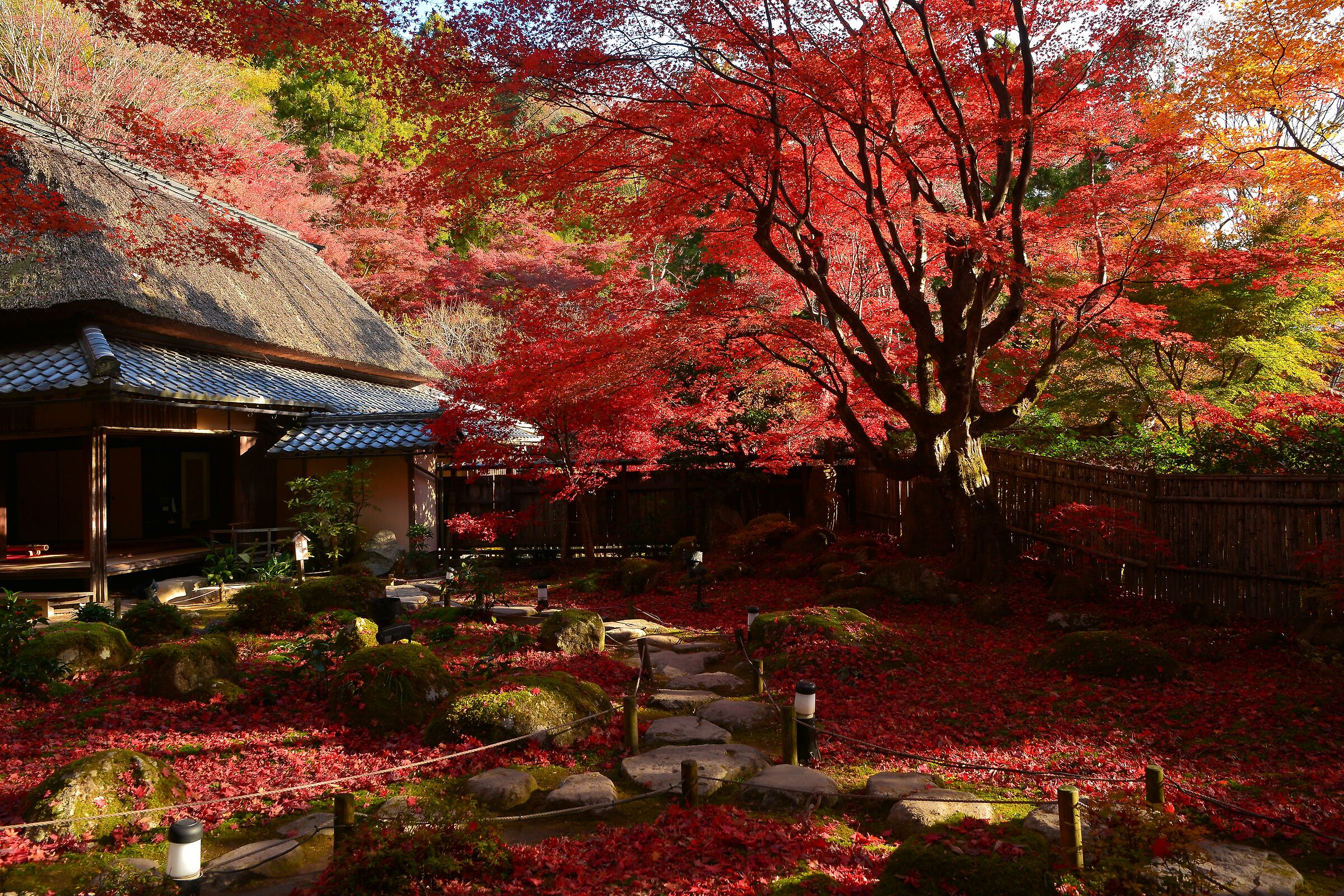 Autumn in Japan