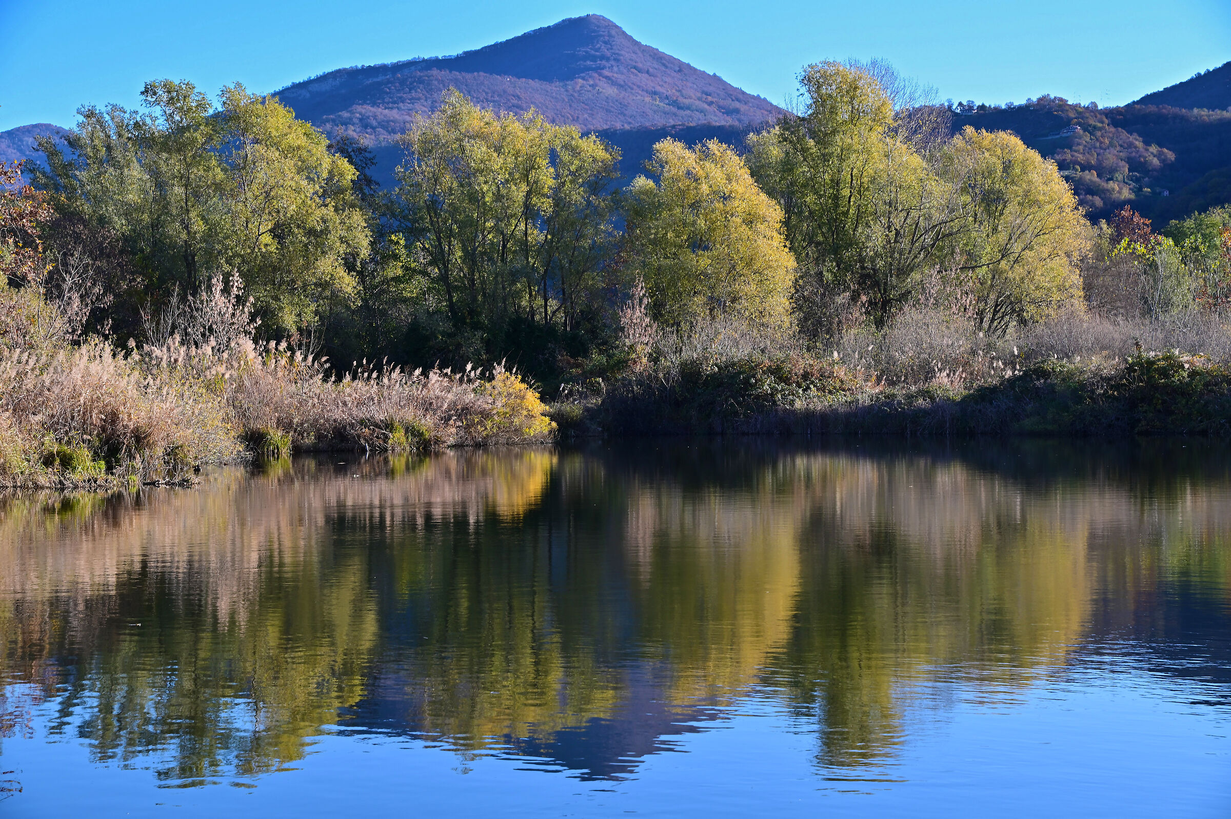 Torbiera del Sebino - Sei.