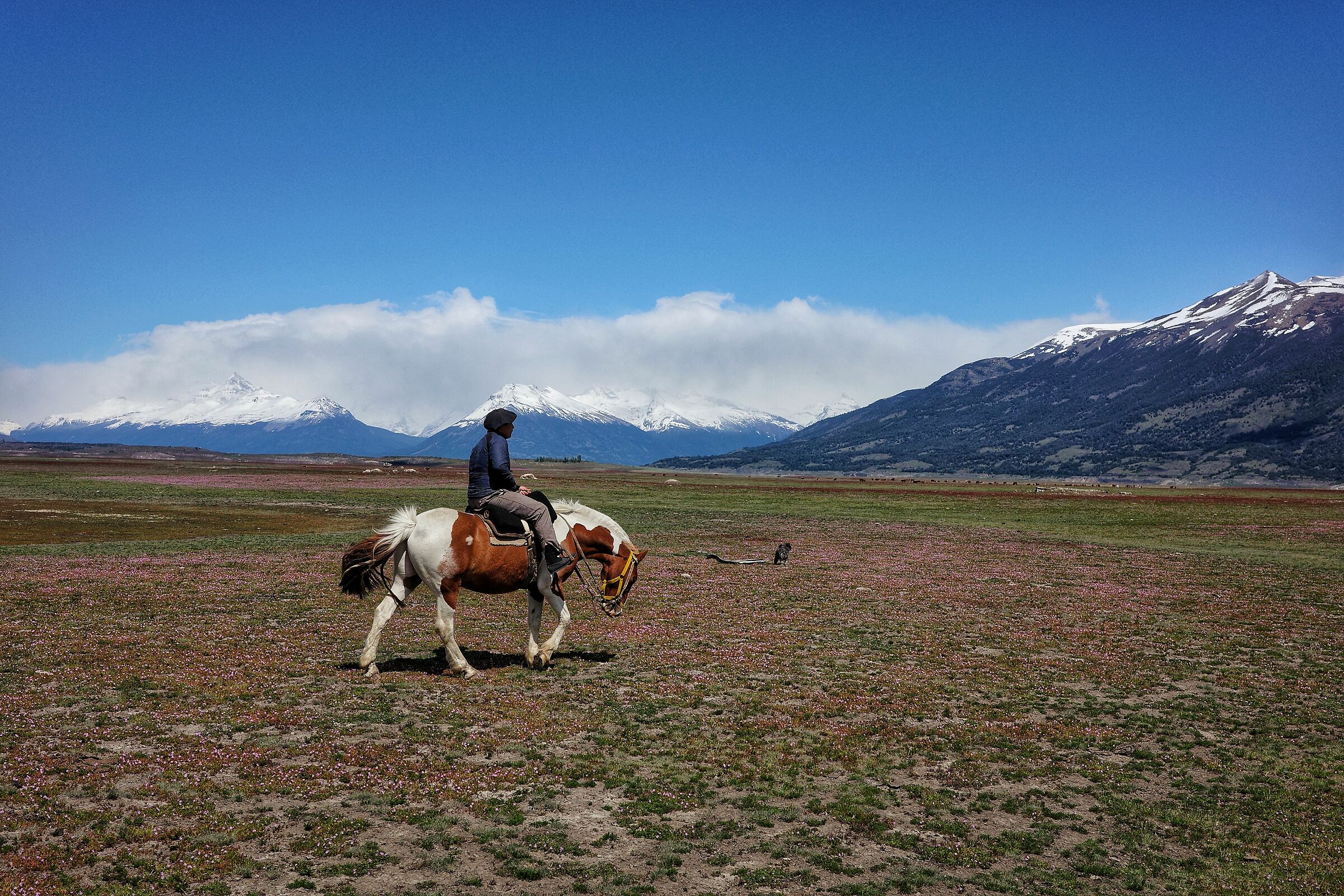 El Calafate