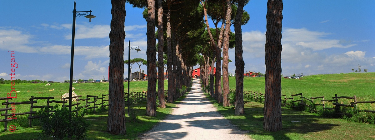 ....verso la fattoria.....