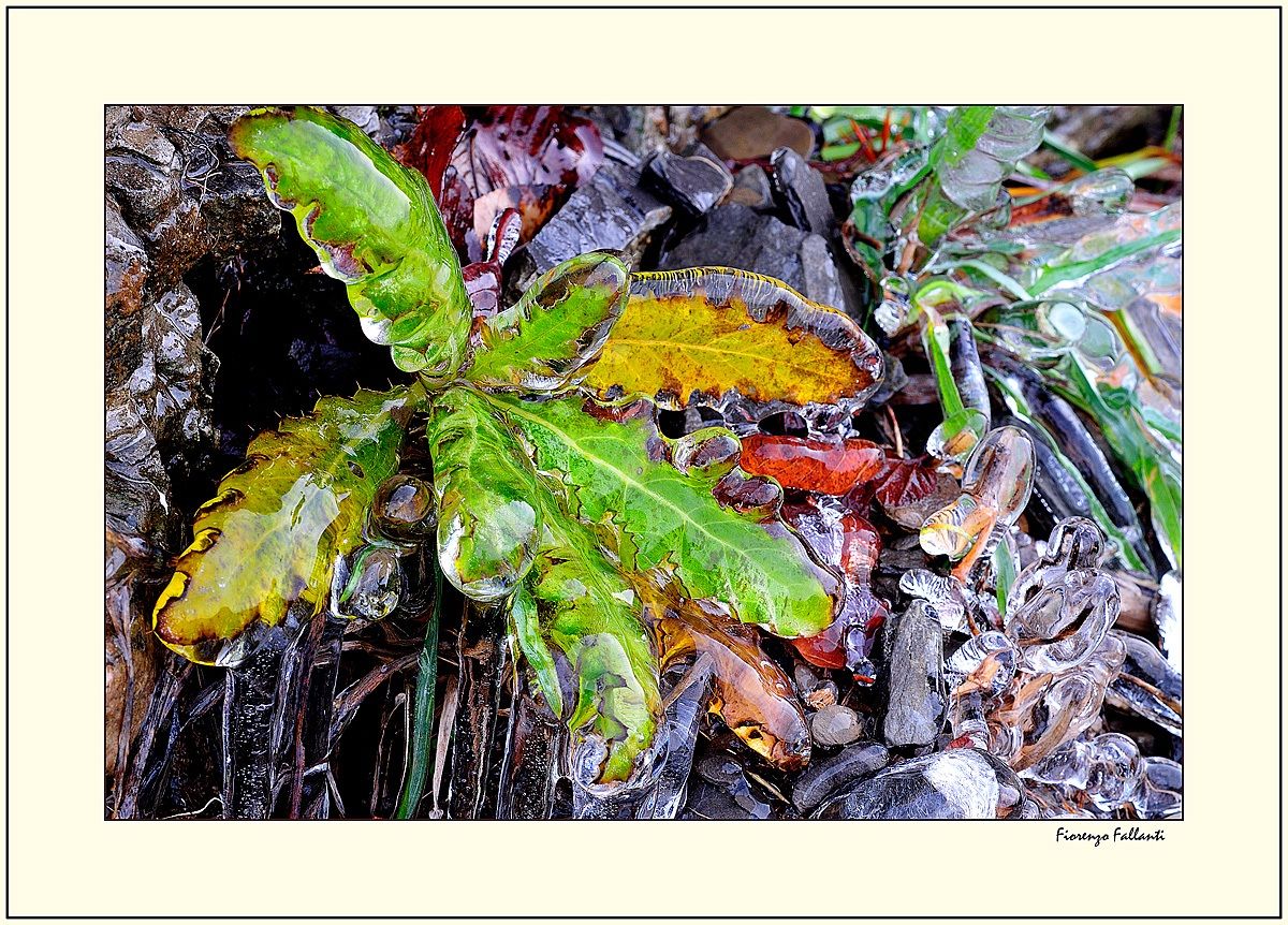 astrazioni sottozero 8