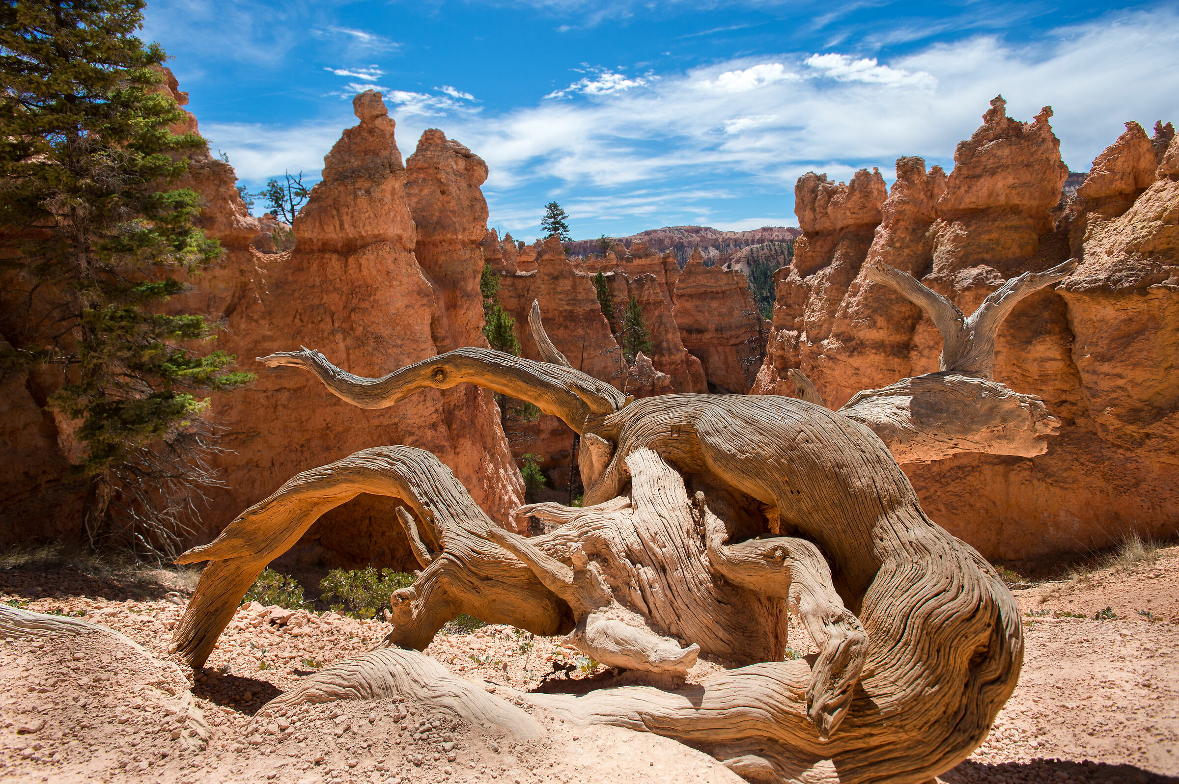 Bryce Canyon