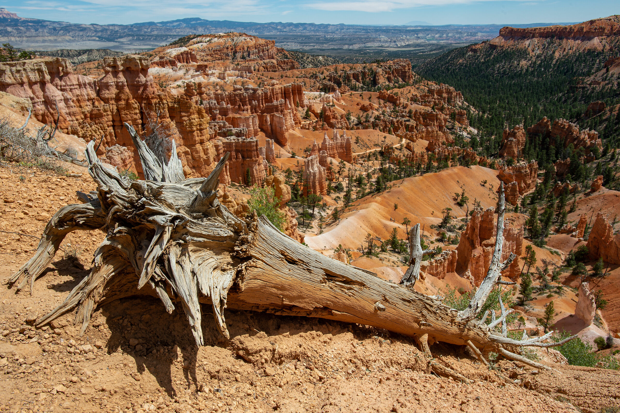 Bryce Canyon