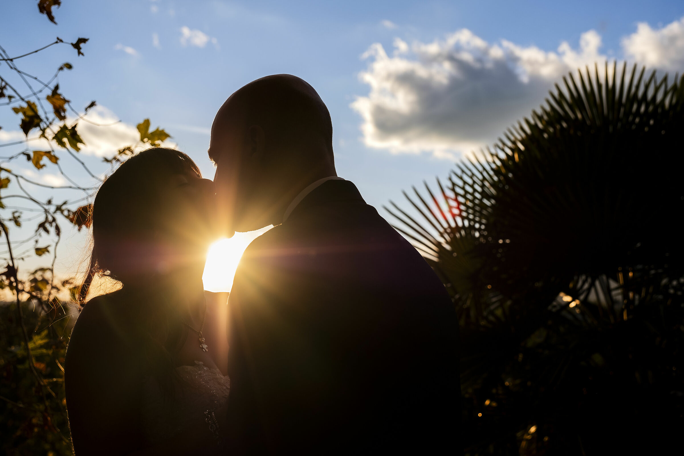 Trash the dress