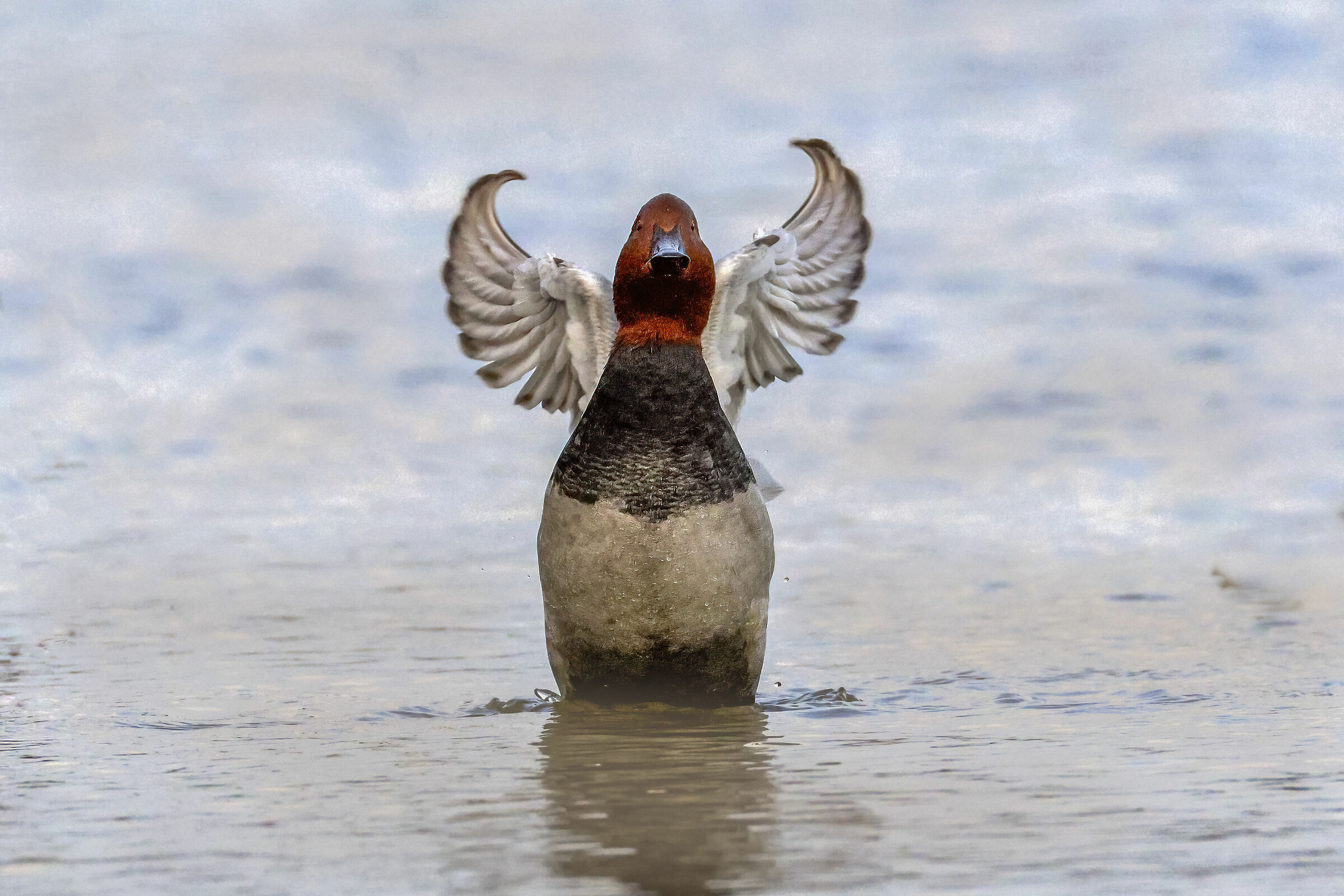 I'm not going to be an angel of Thun... but I don't disfigur...