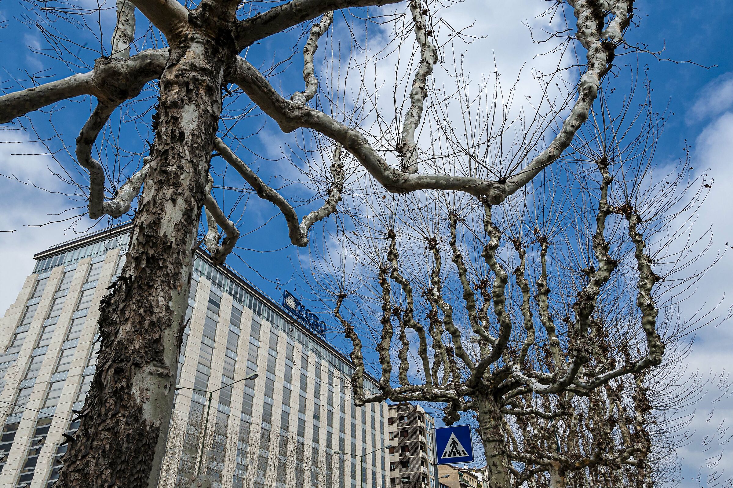 palazzo toro assicurazioni