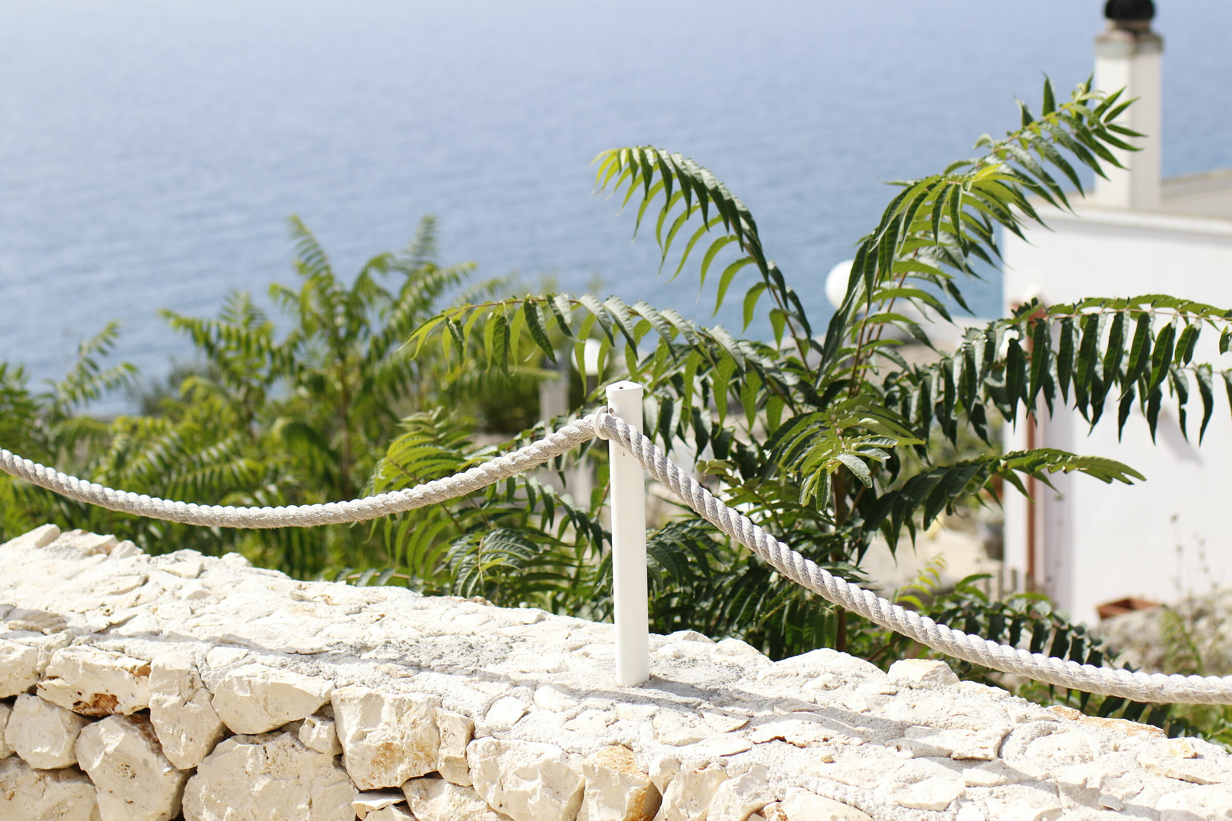 " 1/8 Mila ", Milvus Zeiss 50, 1.4 - Canon 7 D II