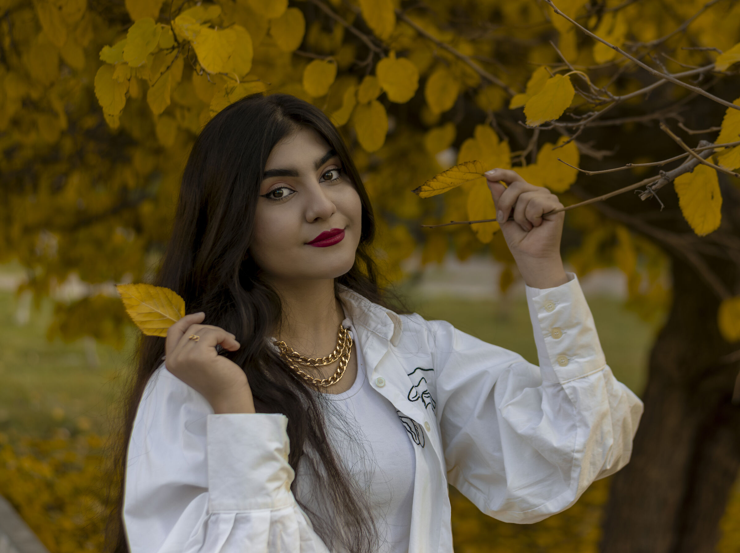 Narges