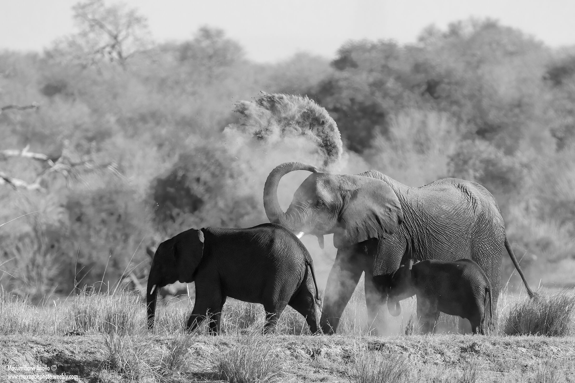 sulle rive del Chobe..