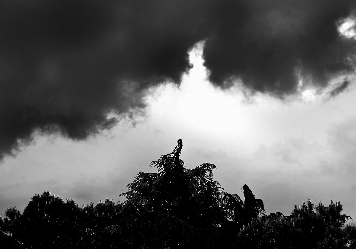 Coerenza o separazione ?