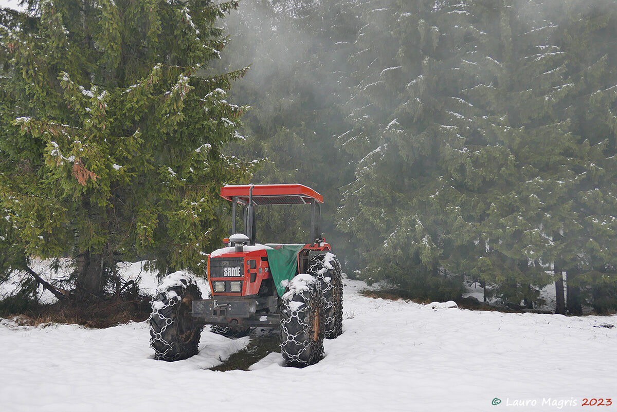 Chained tricolor ready for action