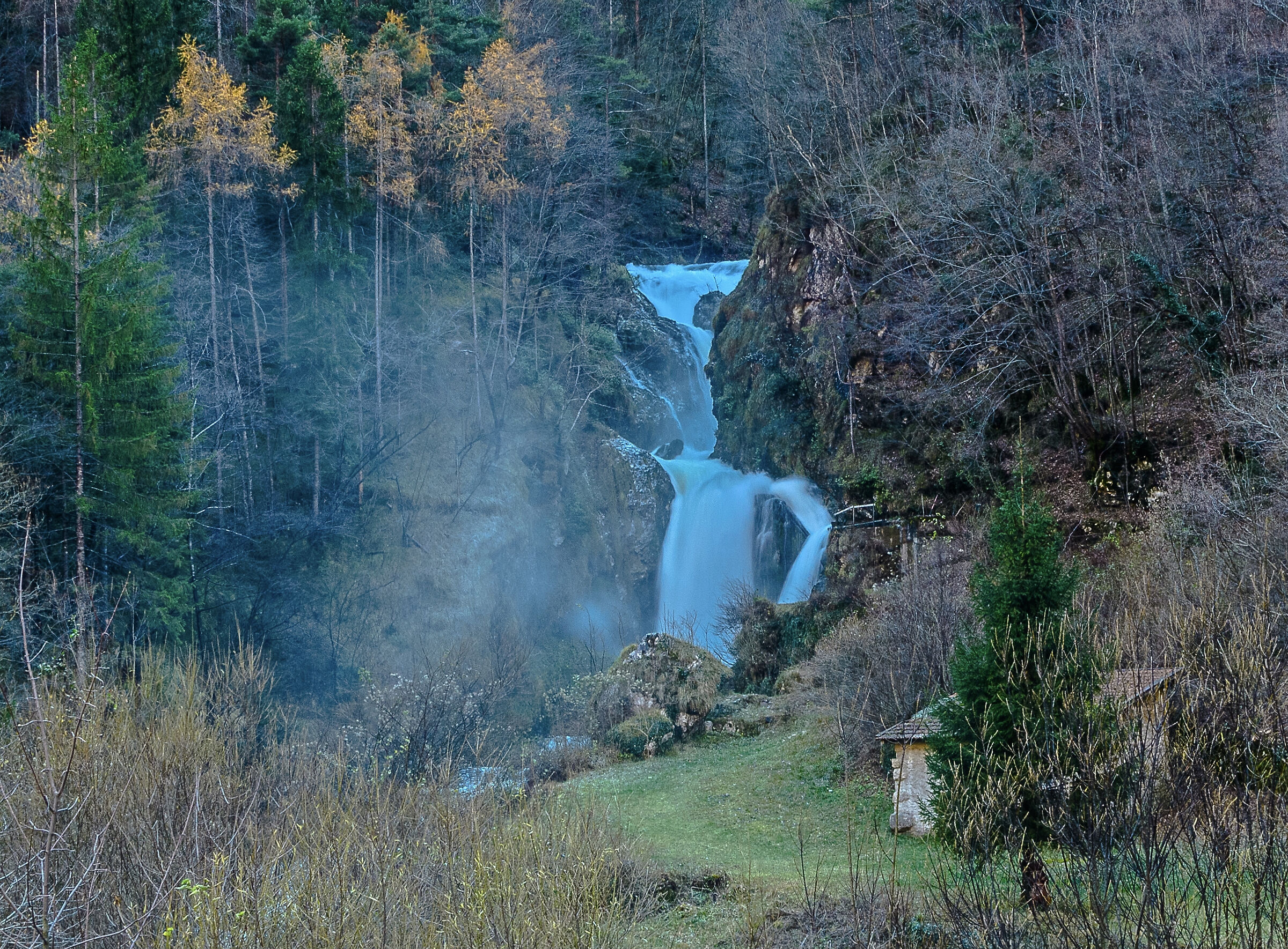 Streams and woods in the Vicenza area