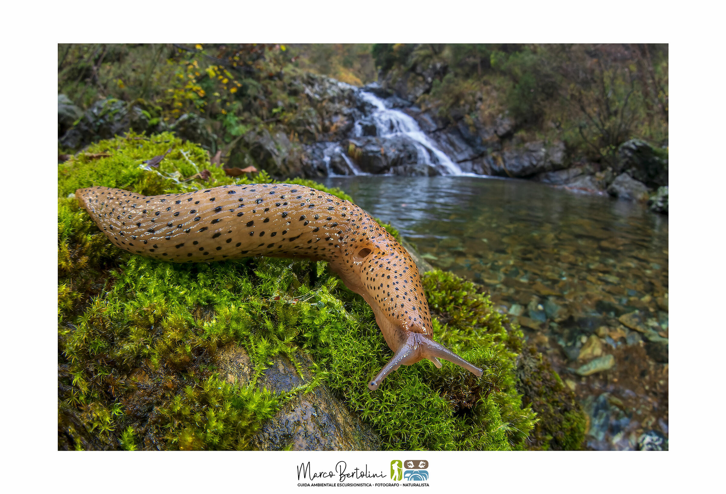 Hidden waterfalls and slimy encounters