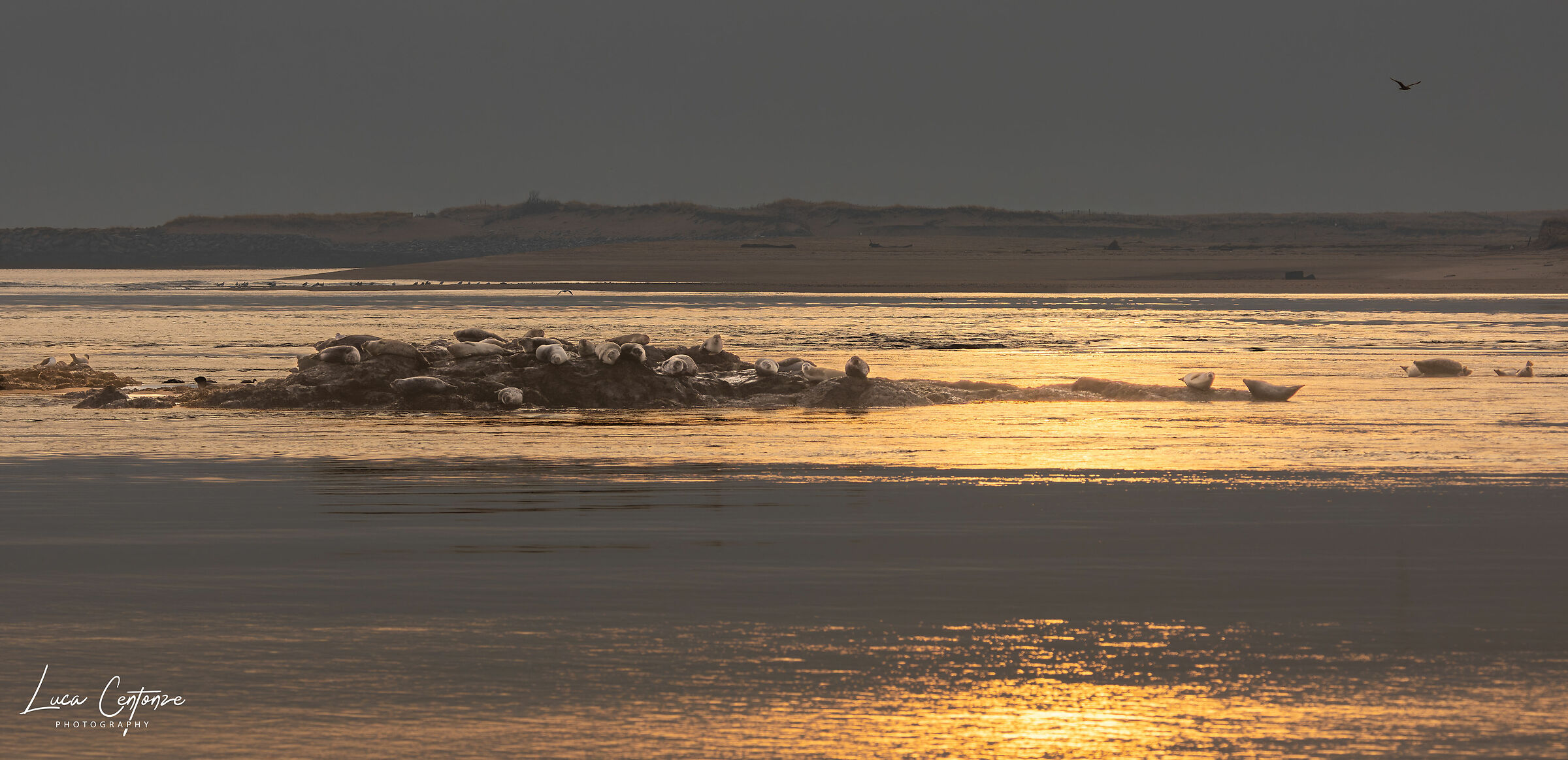 Alba a Salisbury Beach State Reservation
