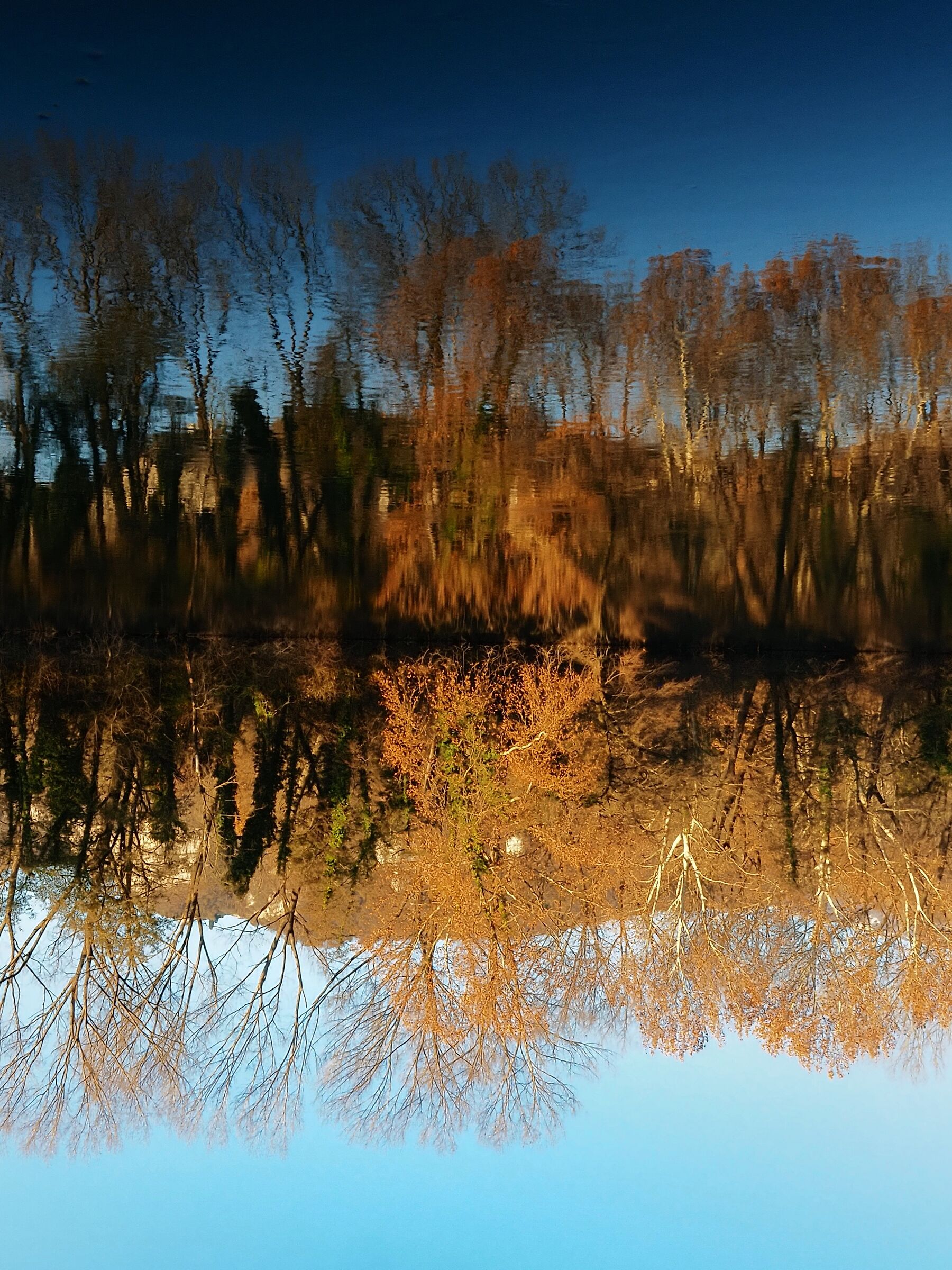 Riflessi