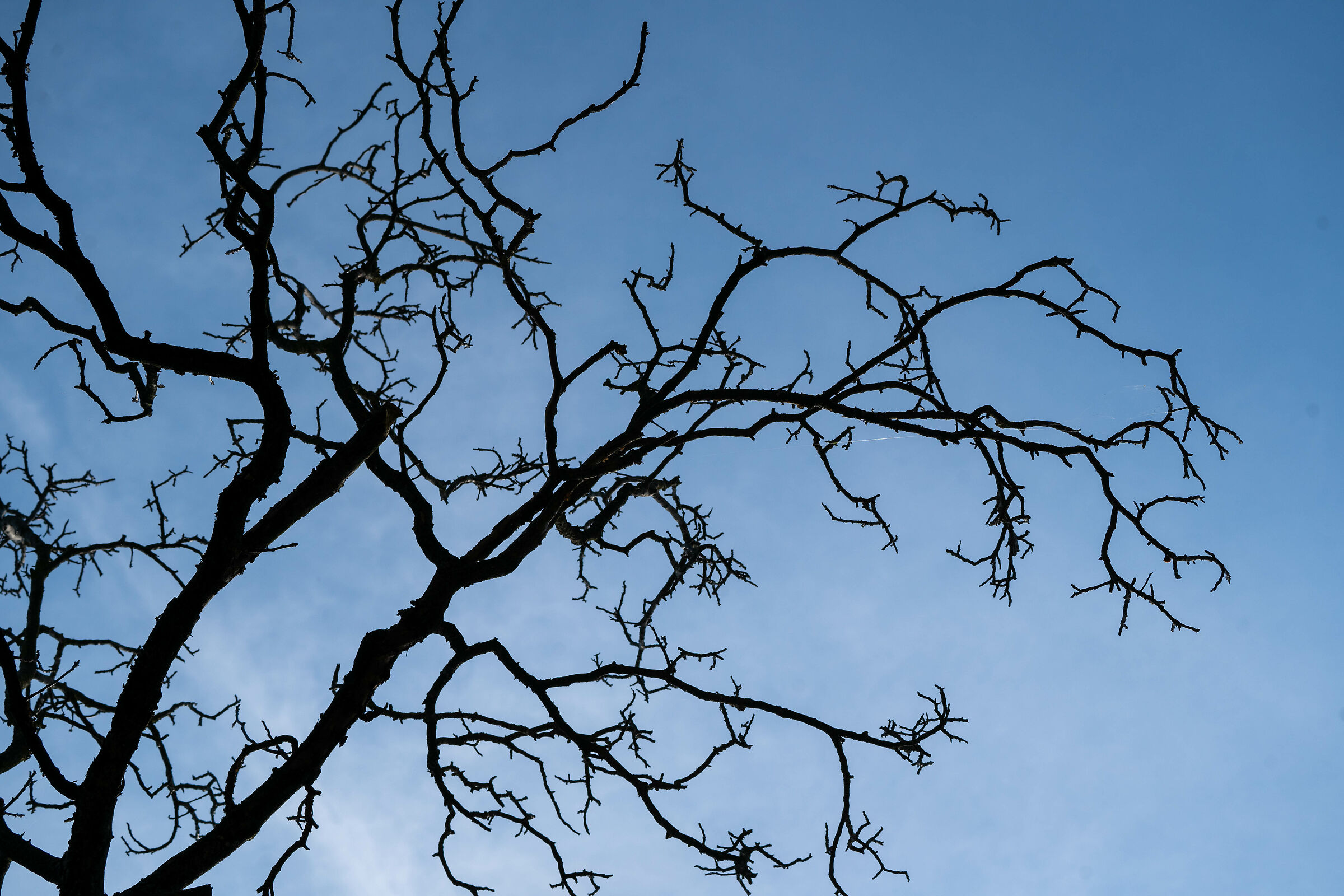 Nature takes its course....