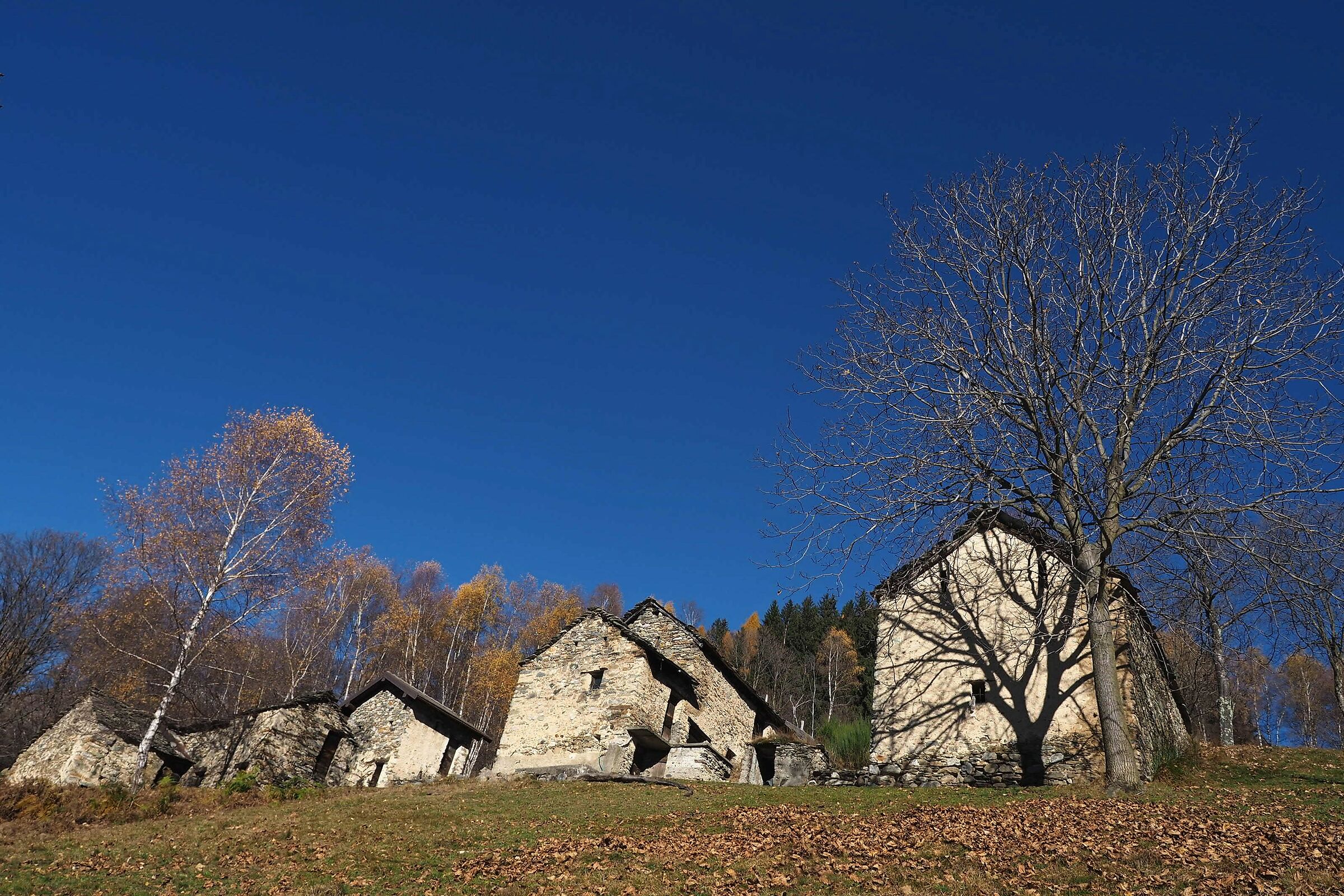 Autumn among mountain huts
