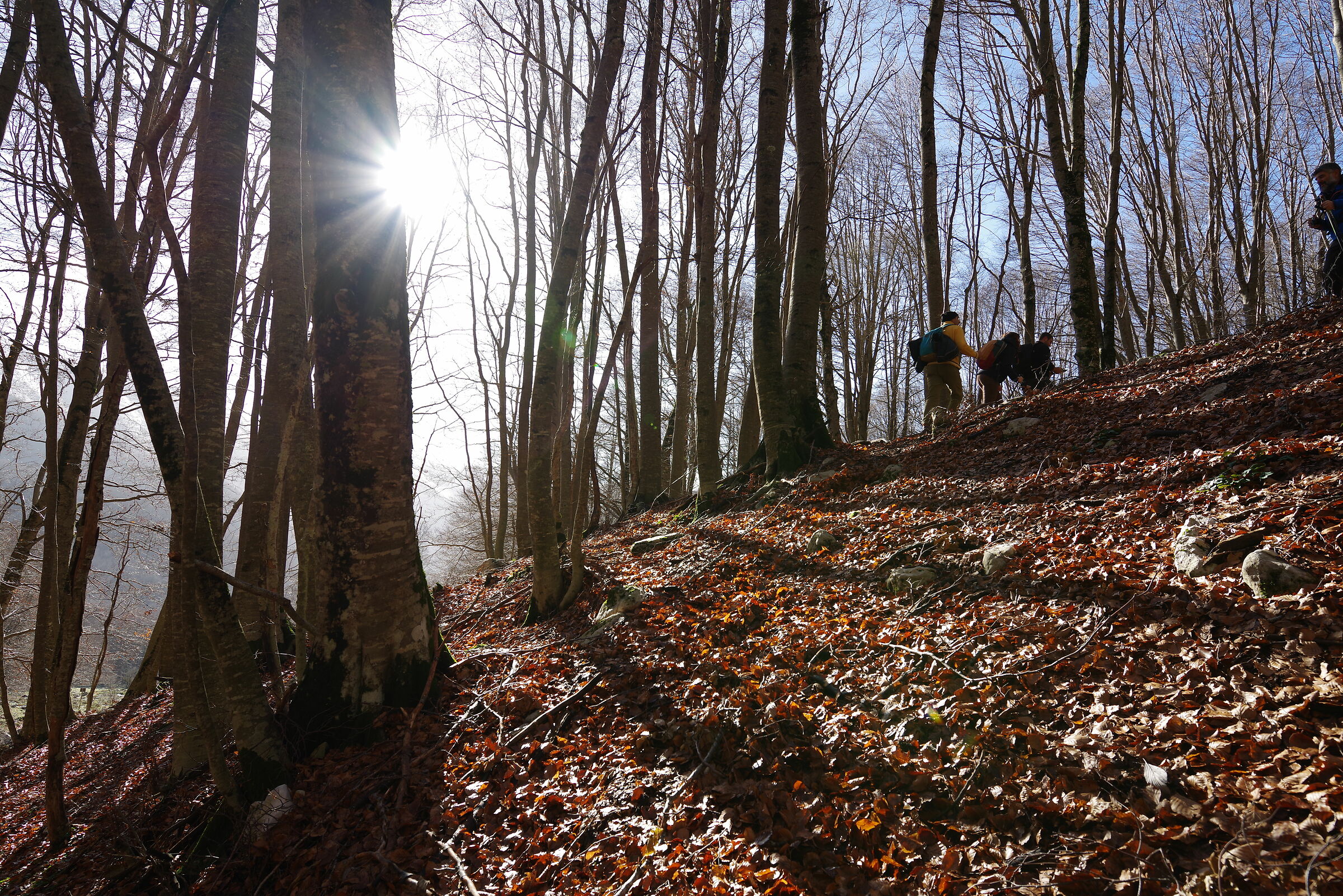 Gruppo Cammino a monte Pizzo Deta