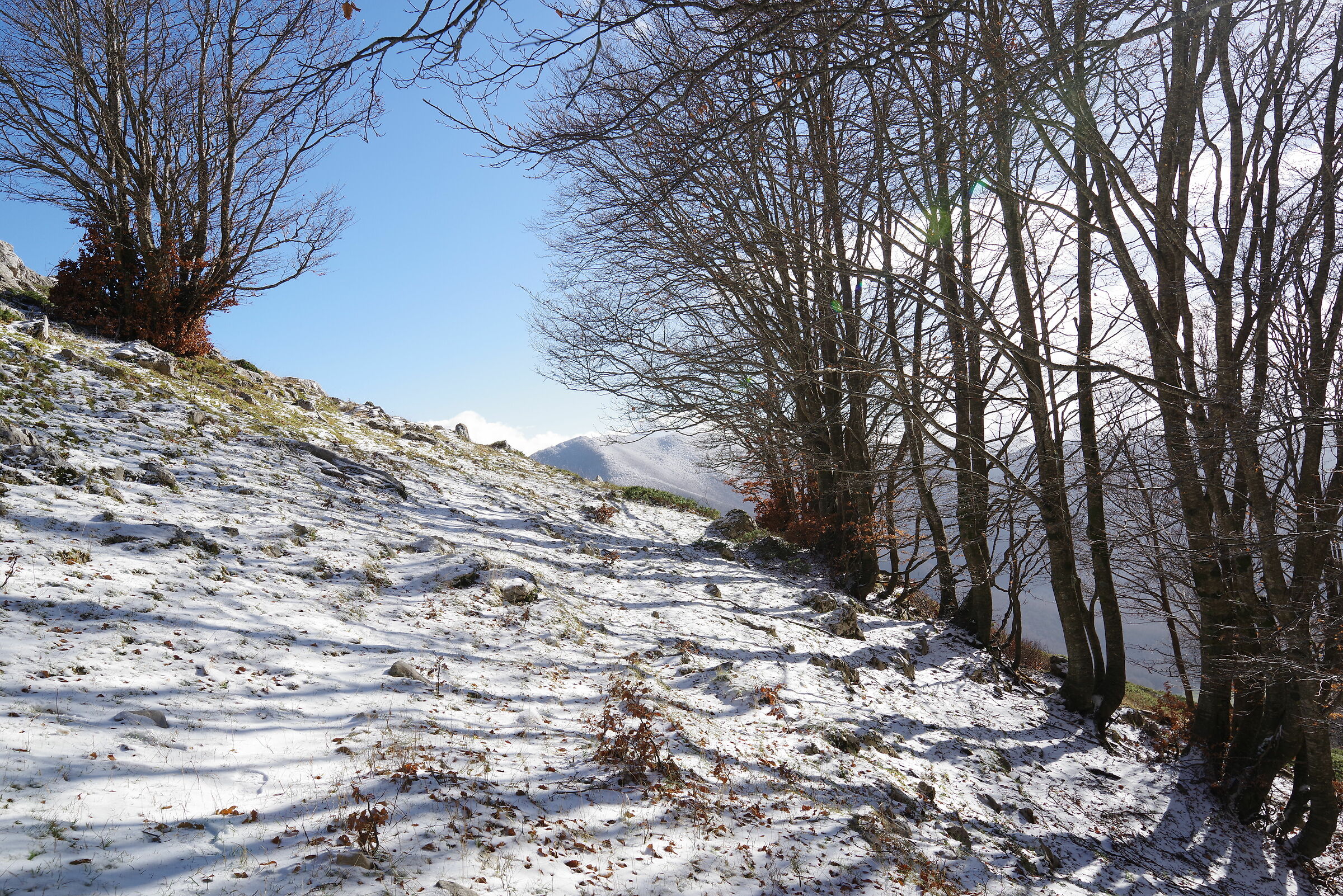 Monte Pizzo Deta (Veroli FR)
